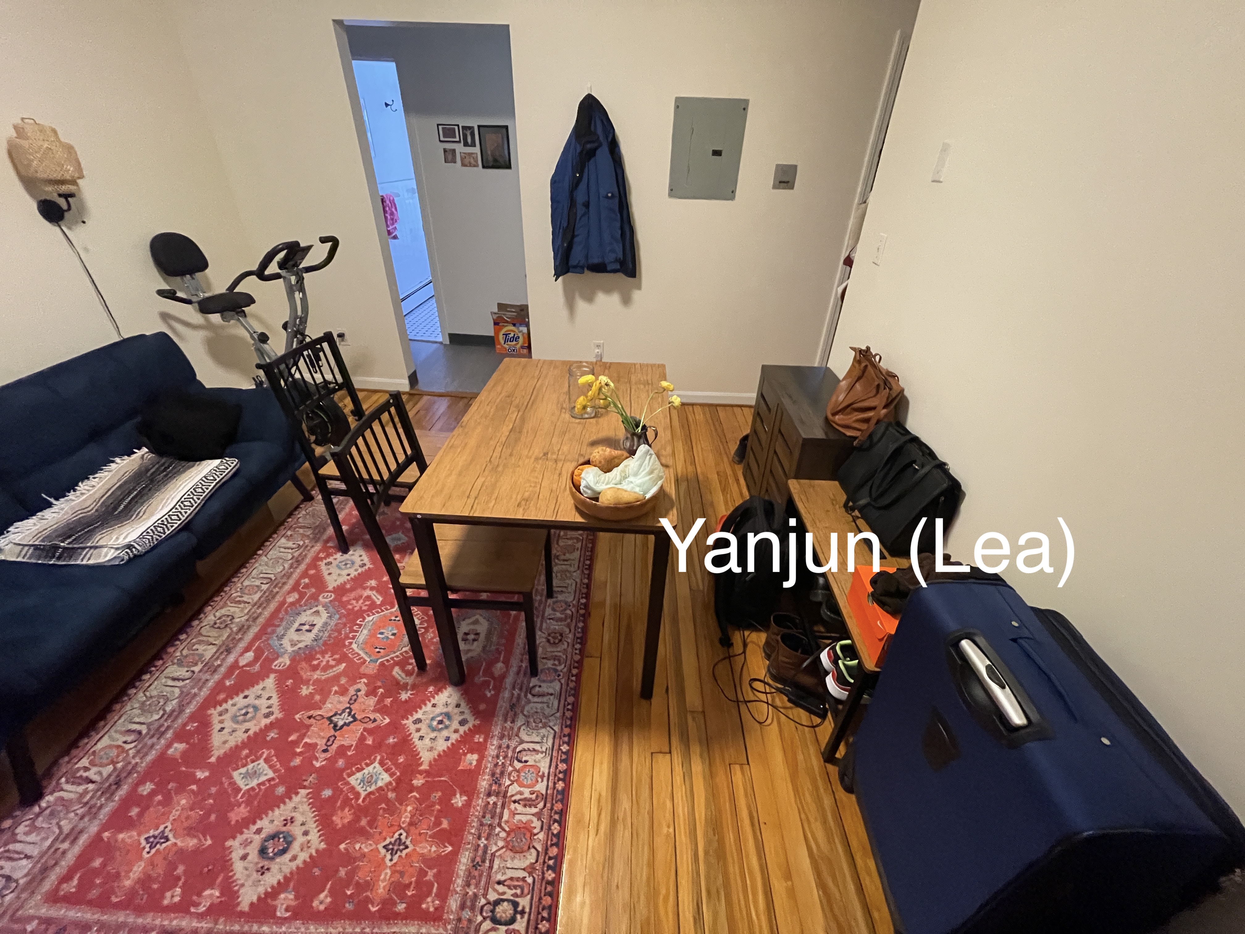 206 Chestnut Hill Ave, Brighton