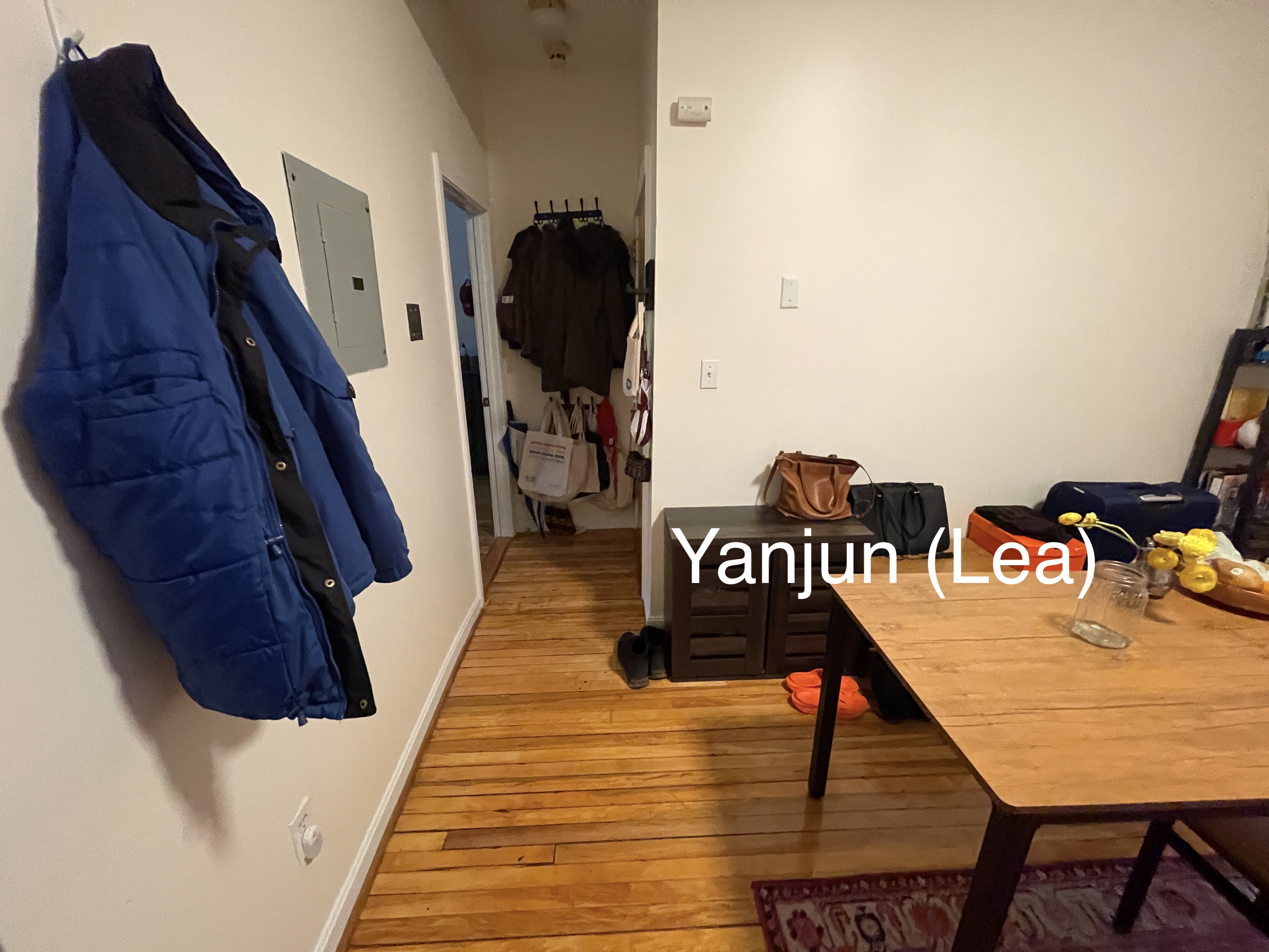 206 Chestnut Hill Ave, Brighton