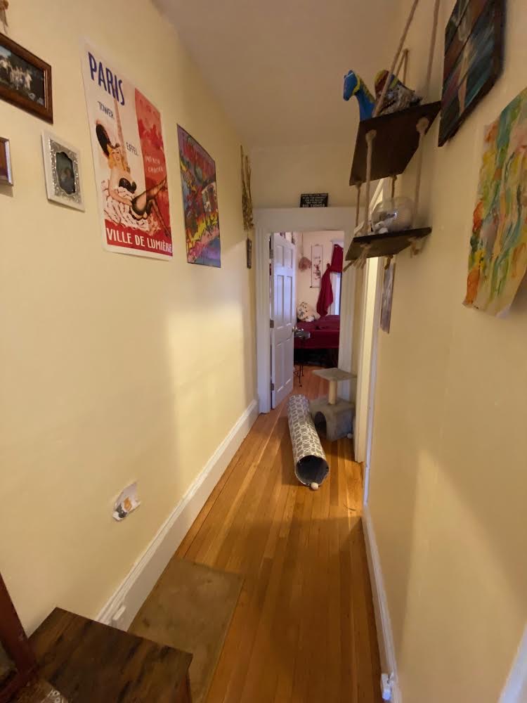 1 bed, 1 bath apartment for rent at 26 Myrtle St Unit 16, Beacon Hill — photo 5 of 9