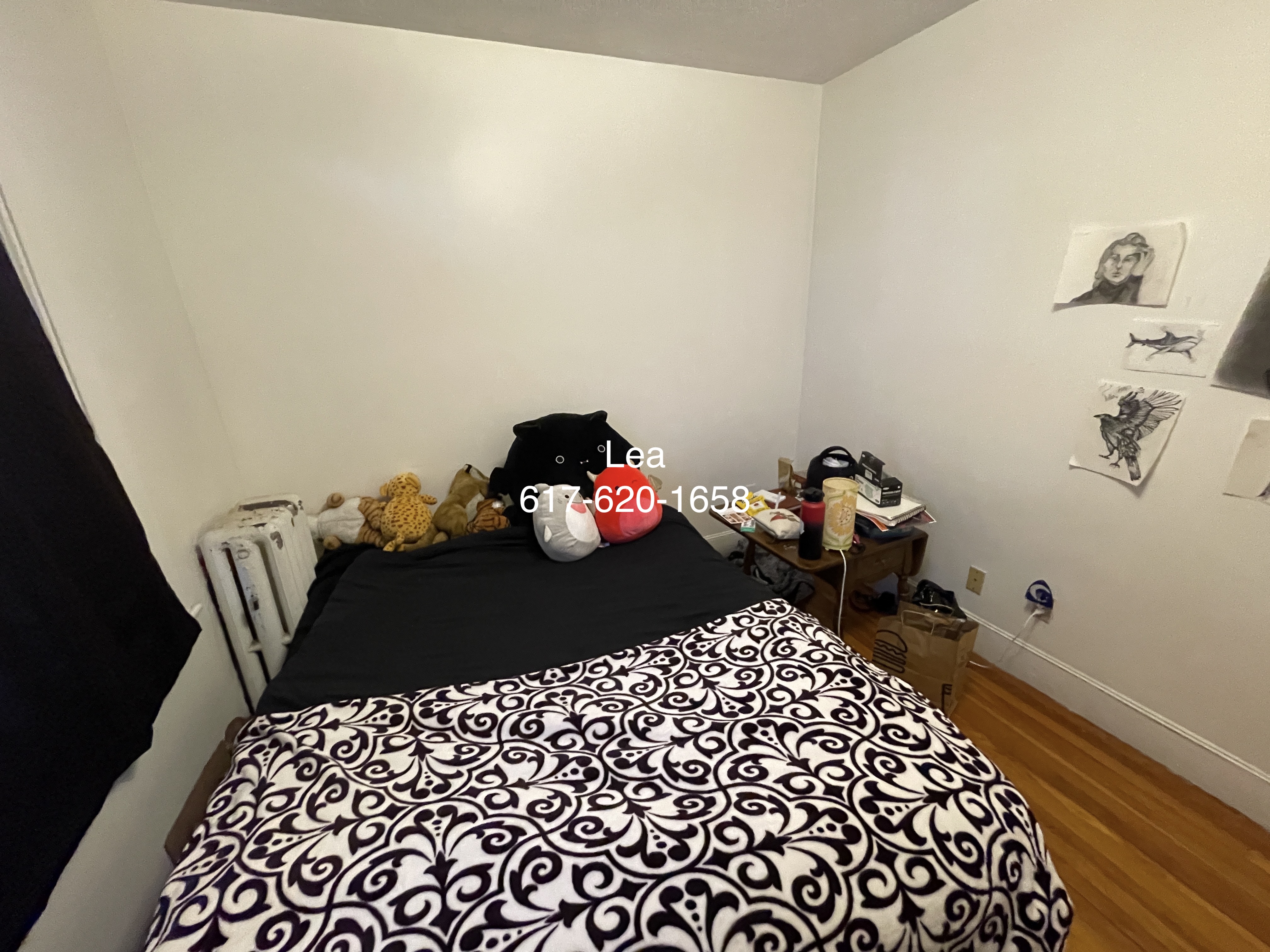 15 Scottfield Rd, Brighton