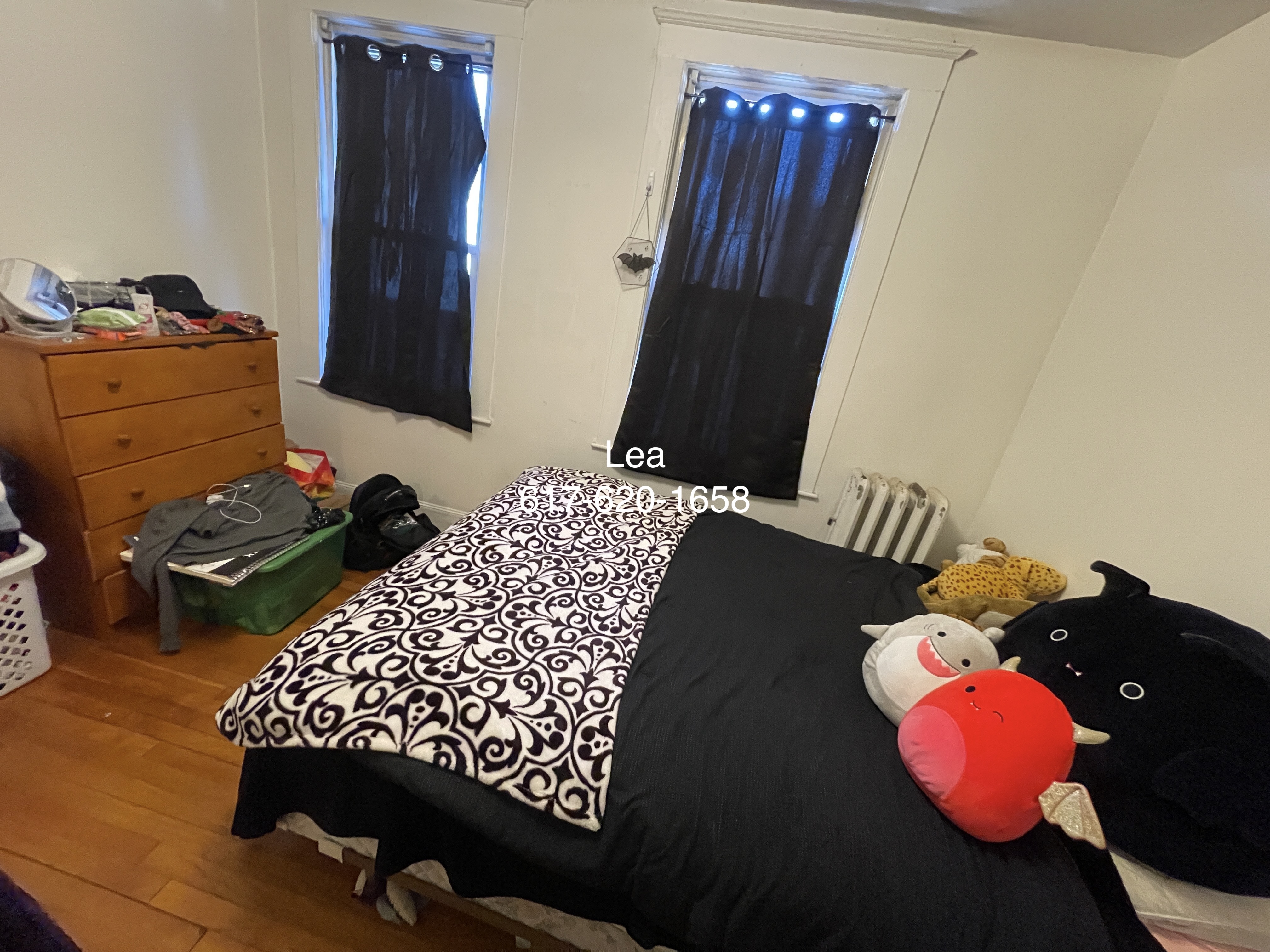 15 Scottfield Rd, Brighton