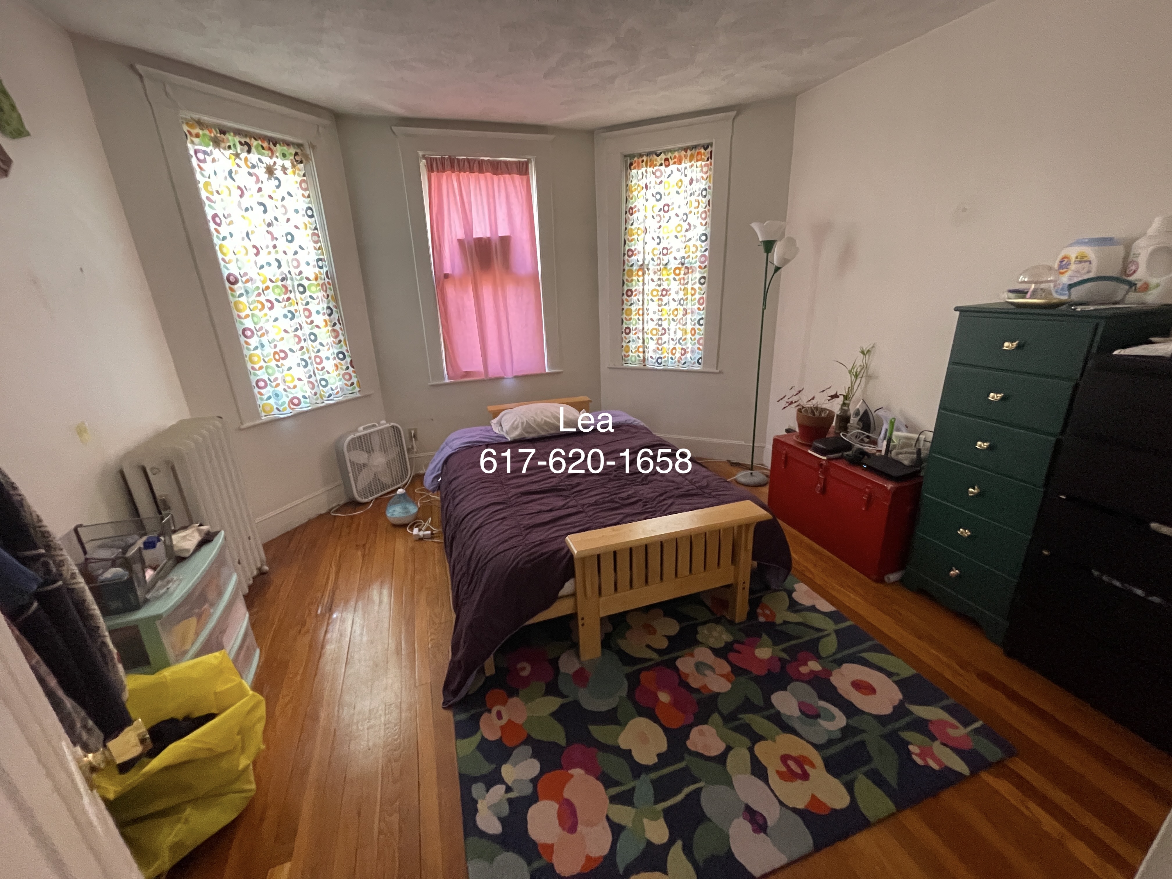 15 Scottfield Rd, Brighton