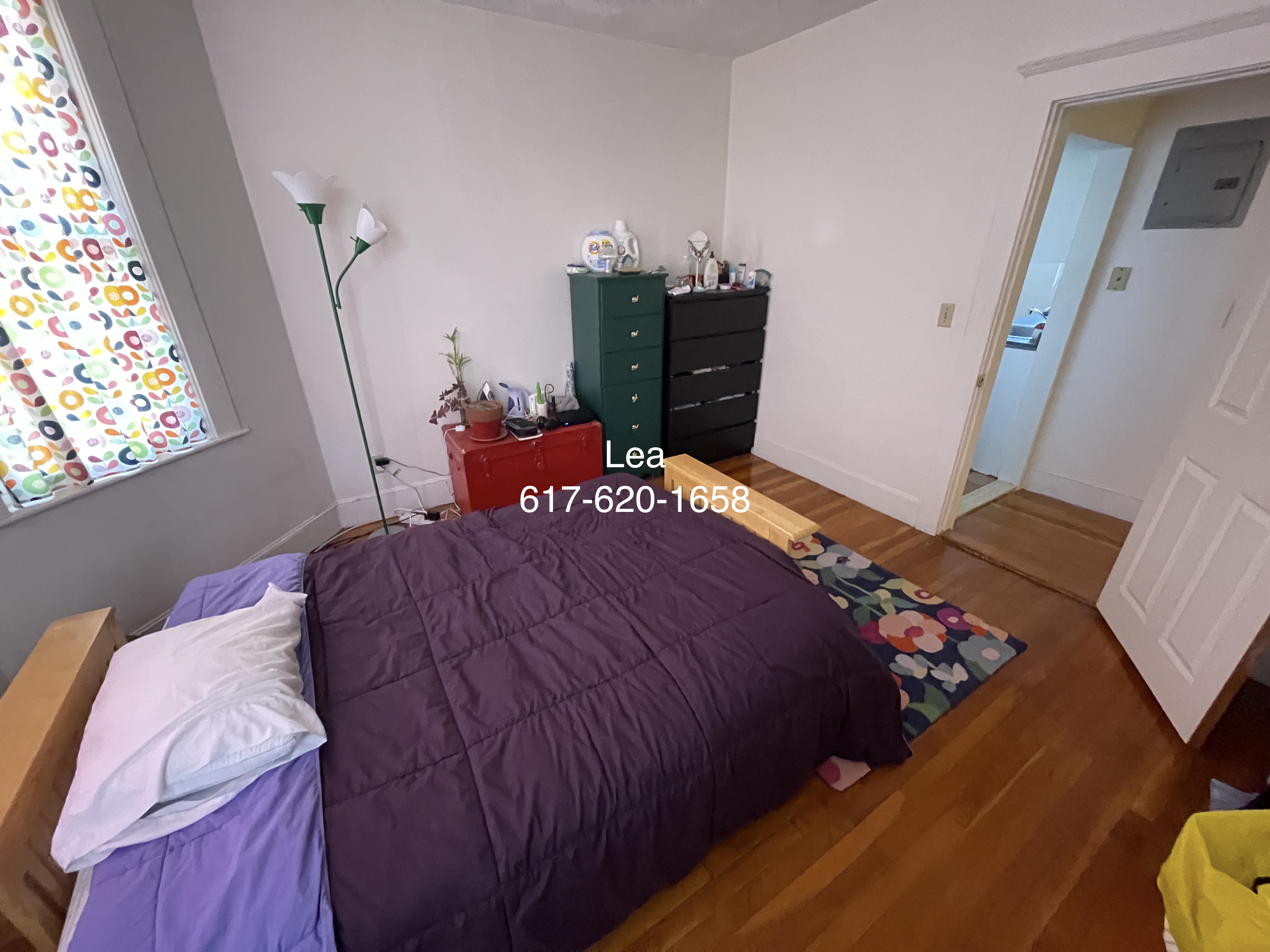 15 Scottfield Rd, Brighton