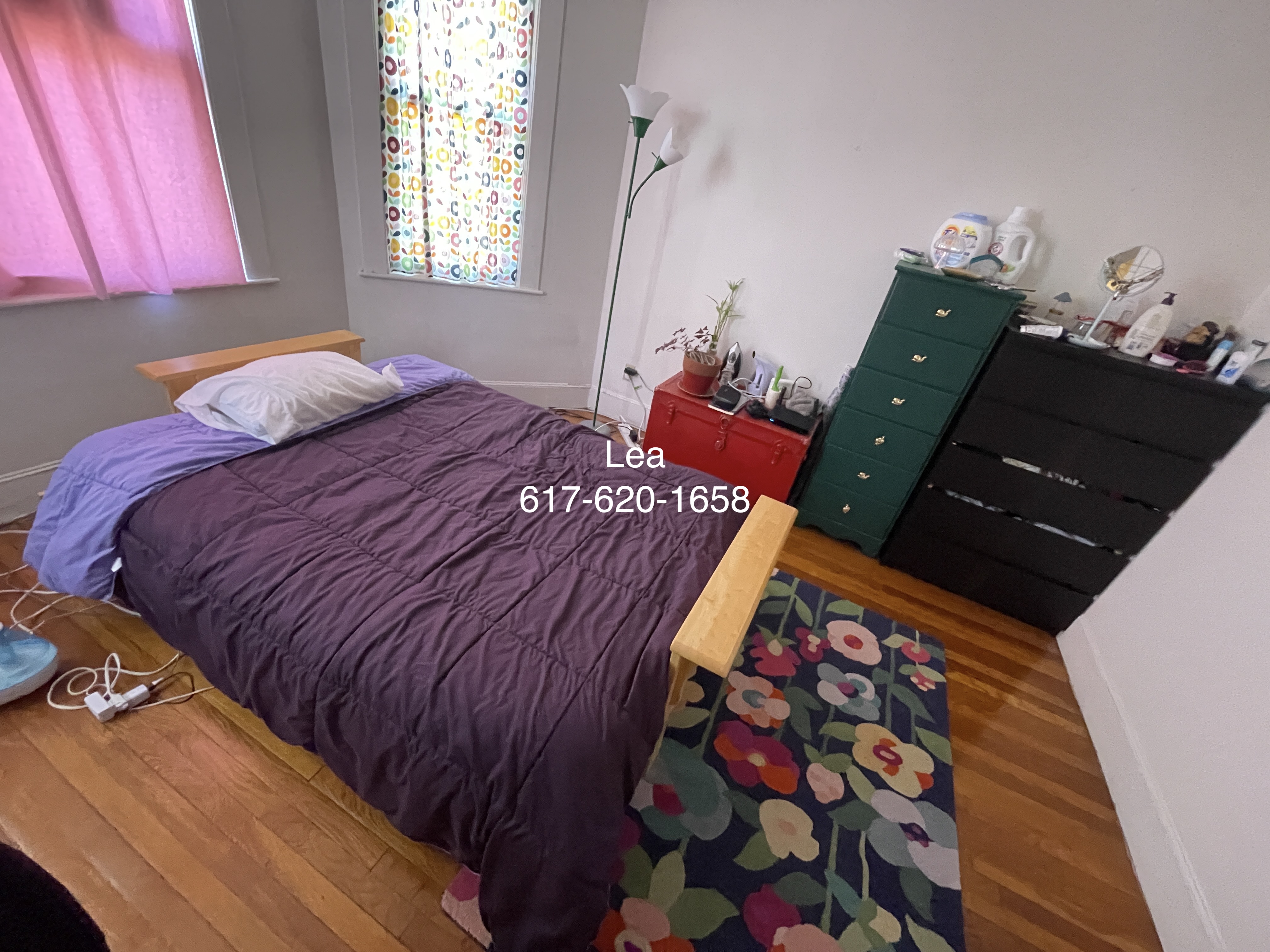 15 Scottfield Rd, Brighton