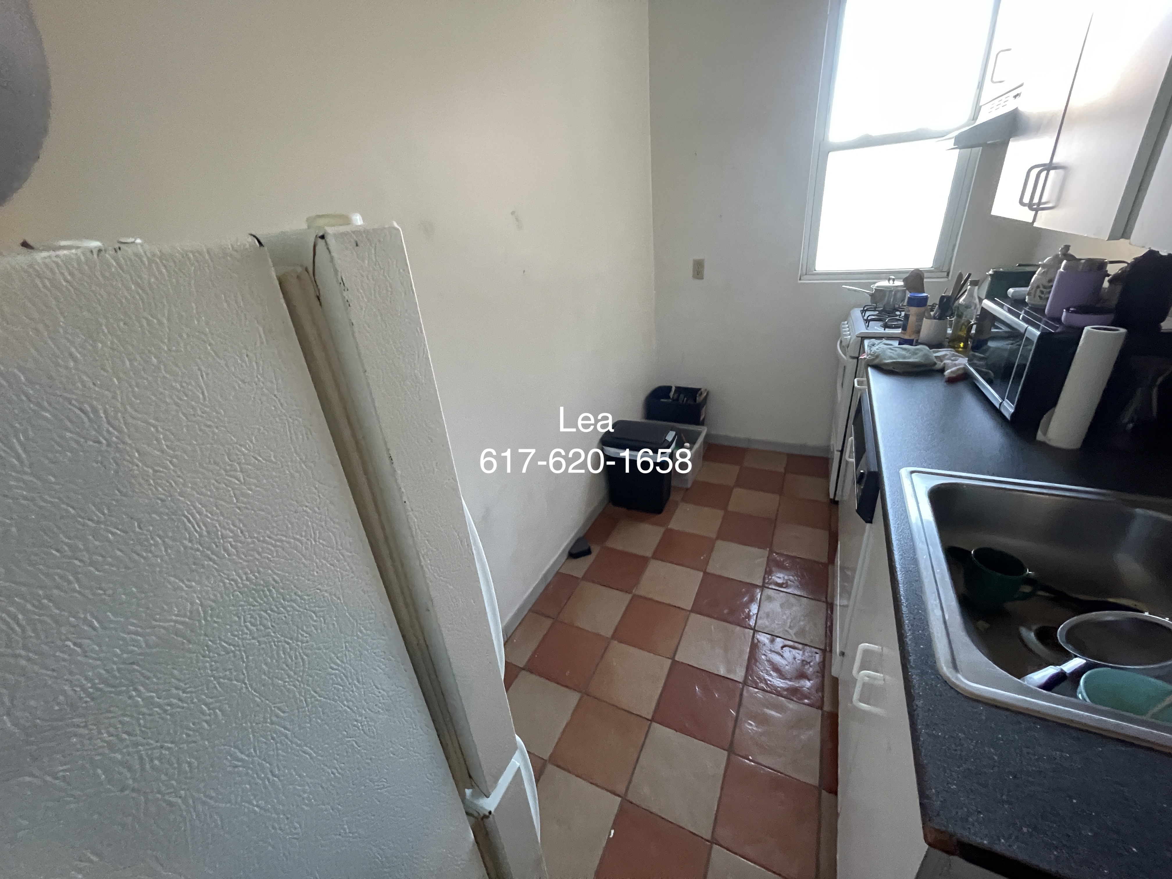 15 Scottfield Rd, Brighton