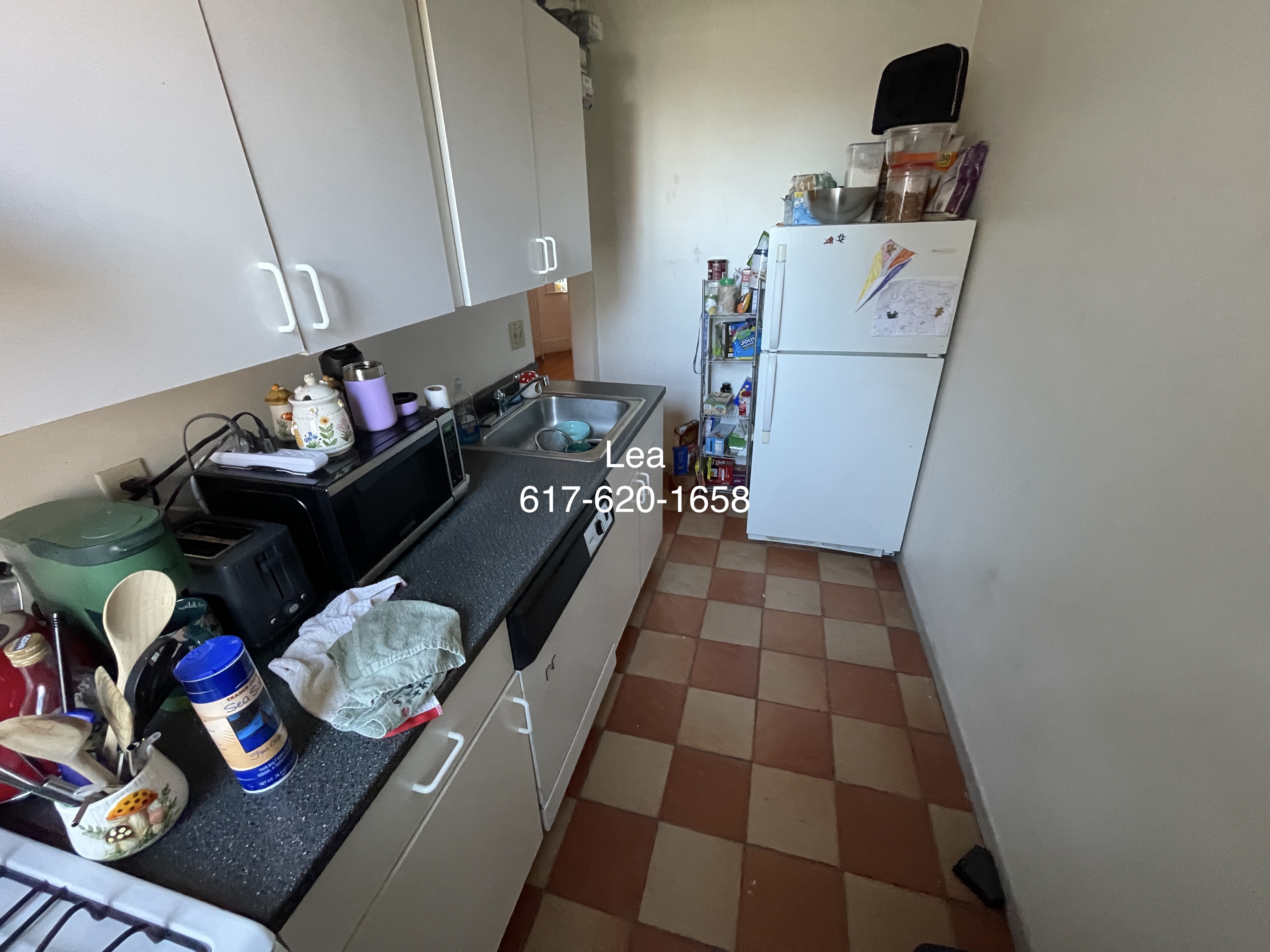 15 Scottfield Rd, Brighton