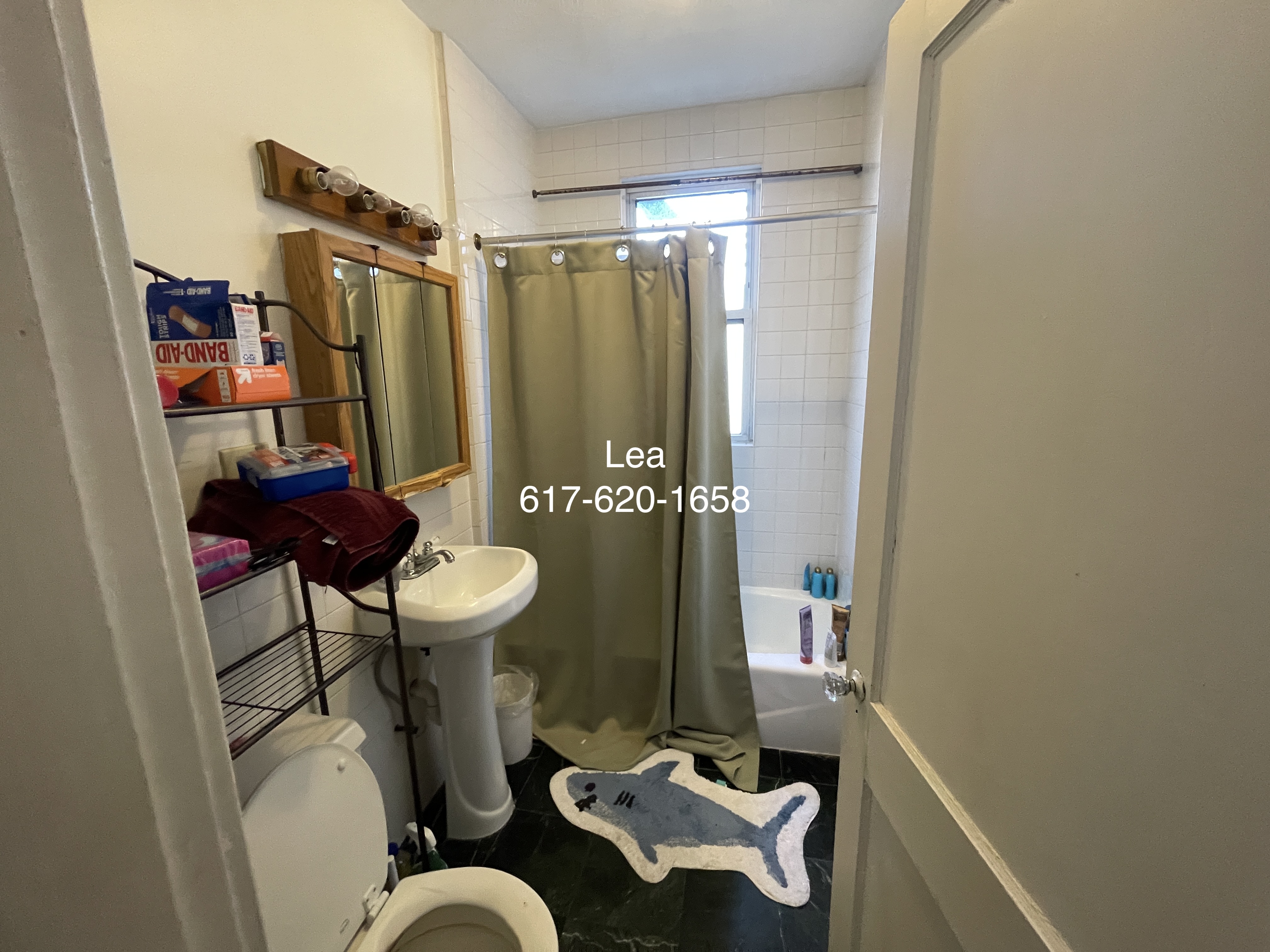 15 Scottfield Rd, Brighton