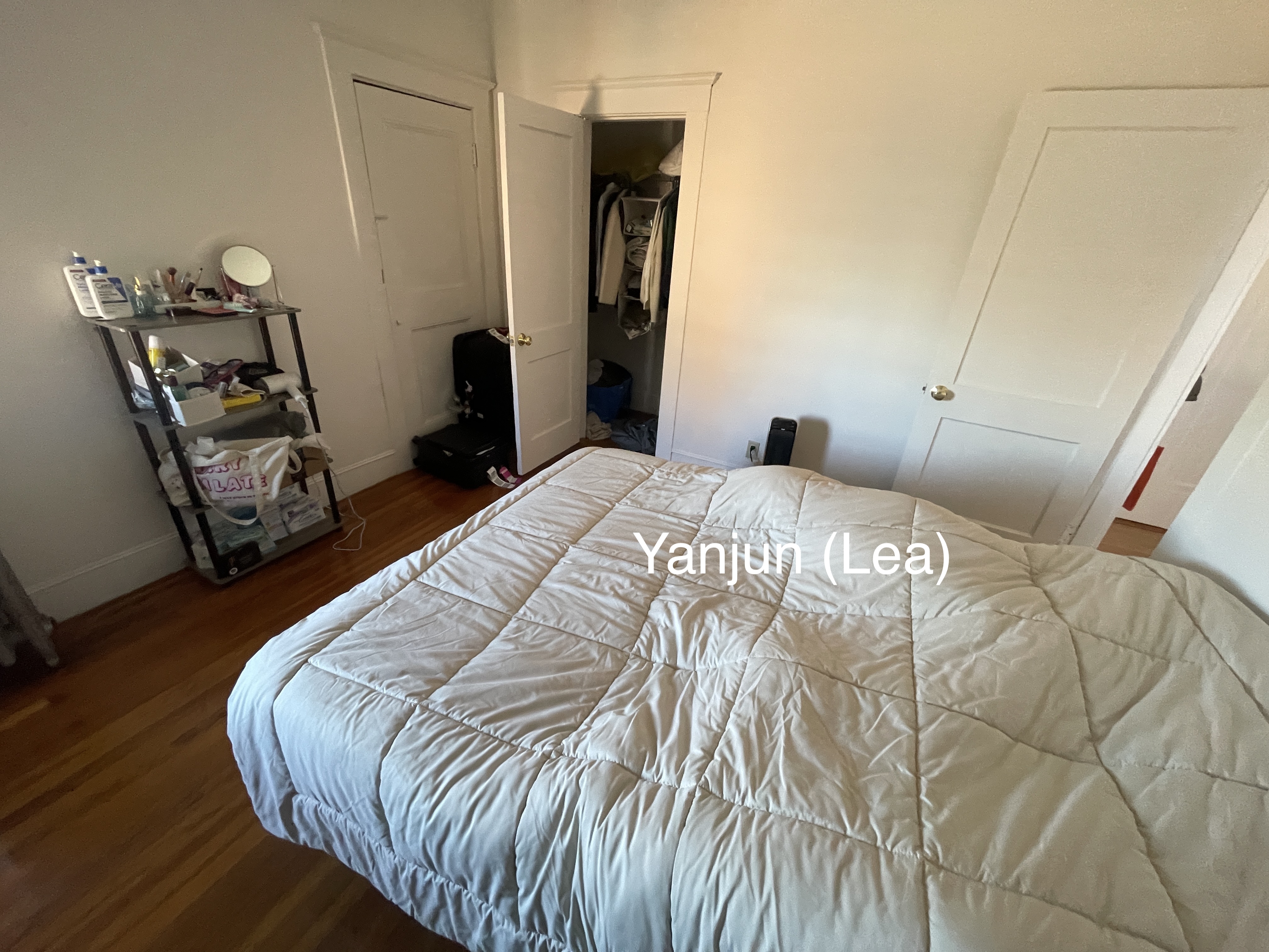 11 Scottfield Rd, Brighton