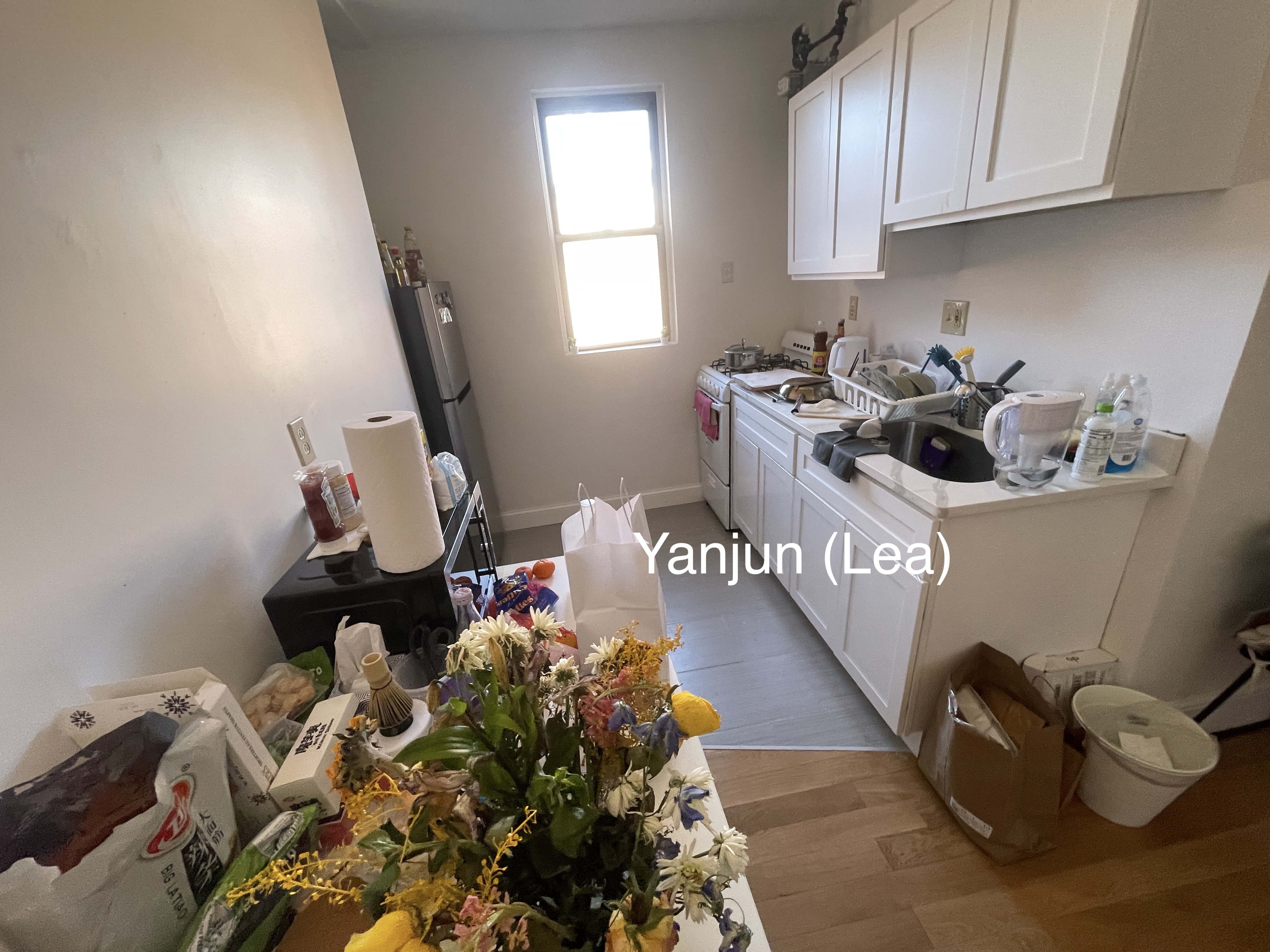 11 Scottfield Rd, Brighton