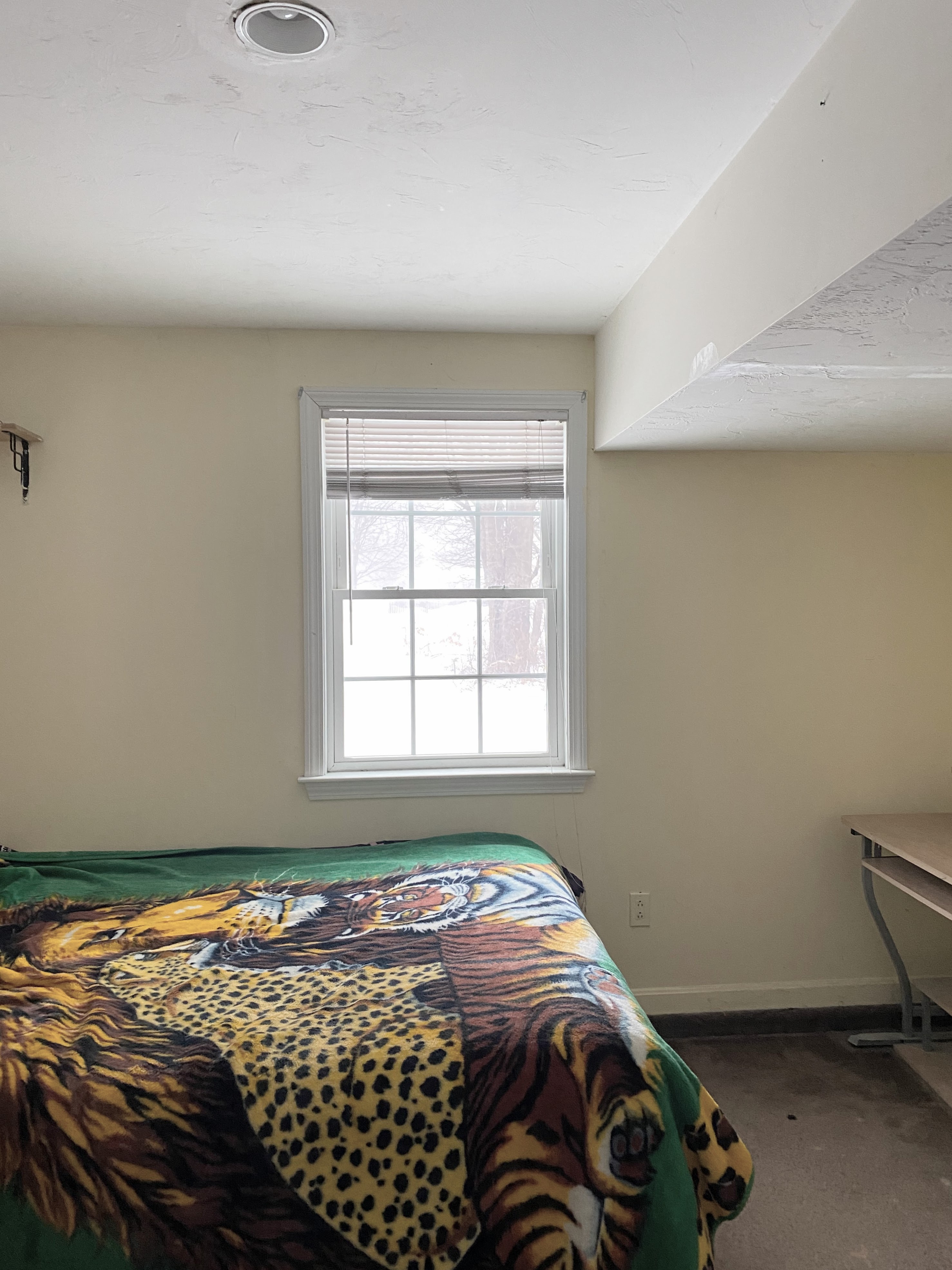 1 bed, 1 bath apartment for rent at 116 Selwyn Rd Unit B, Randolph — photo 4 of 8