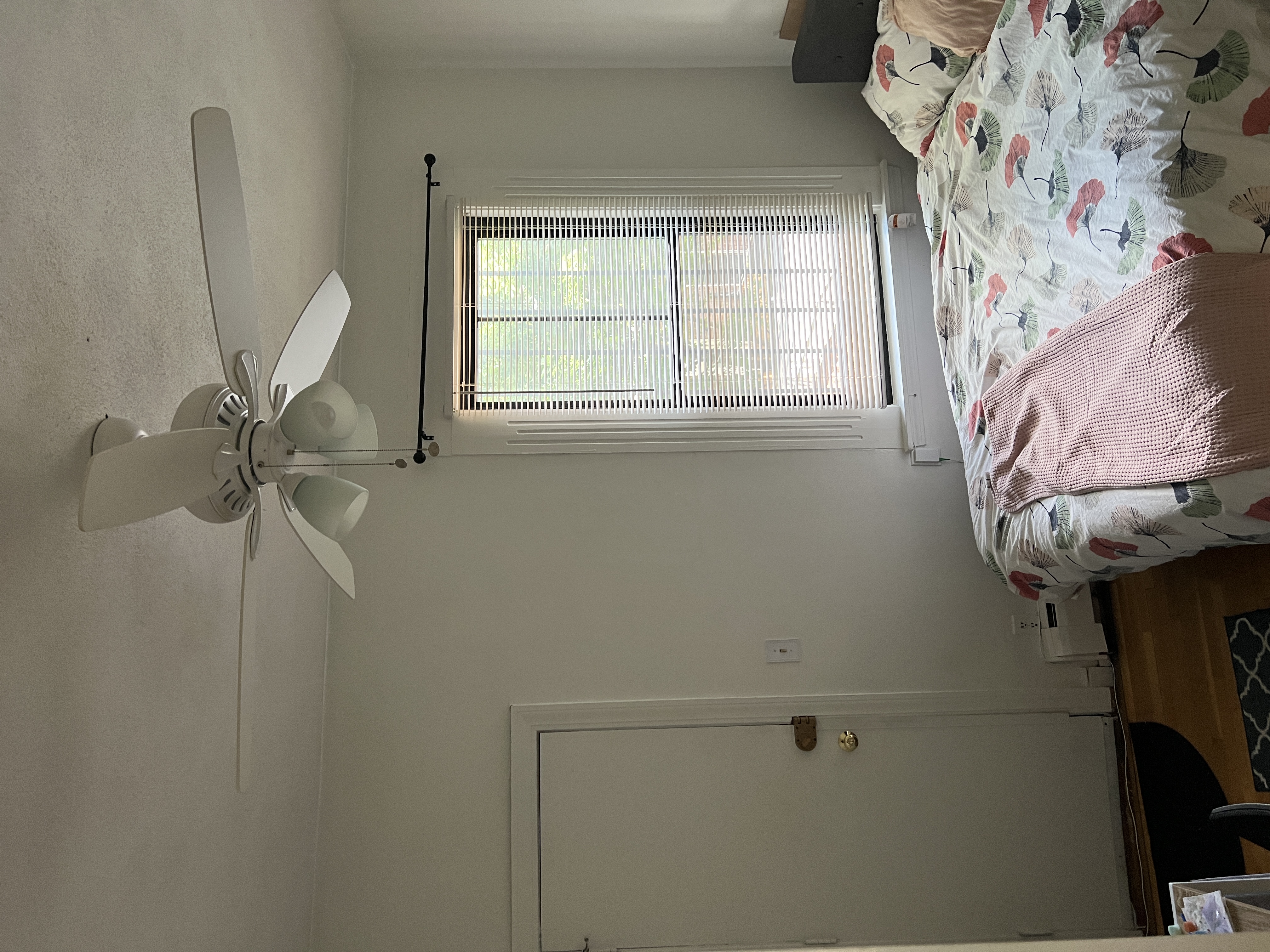 2 bed, 1 bath apartment for rent at 41 East Springfield St Unit 3, South End — photo 7 of 11
