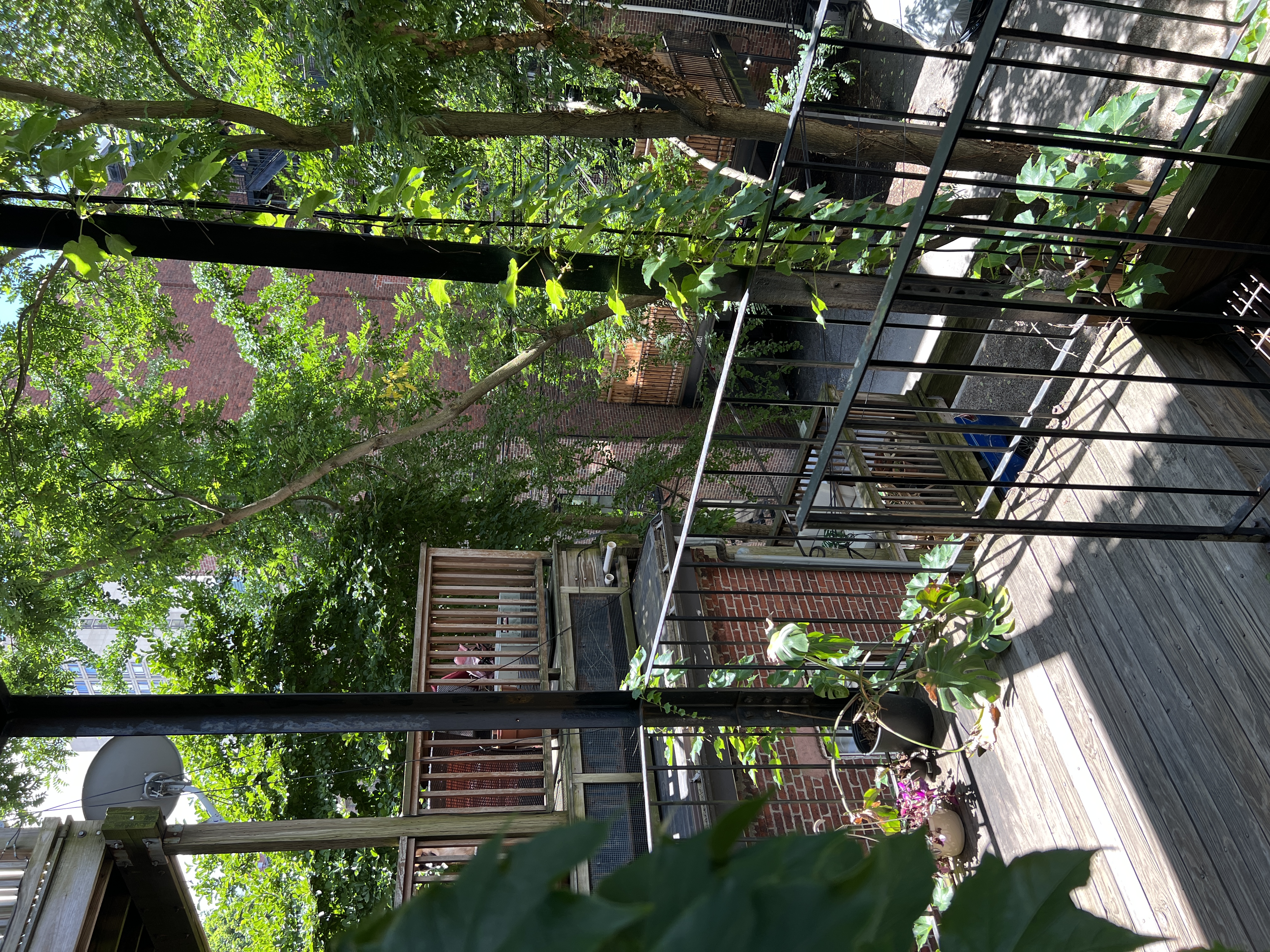 2 bed, 1 bath apartment for rent at 41 East Springfield St Unit 3, South End — photo 10 of 11