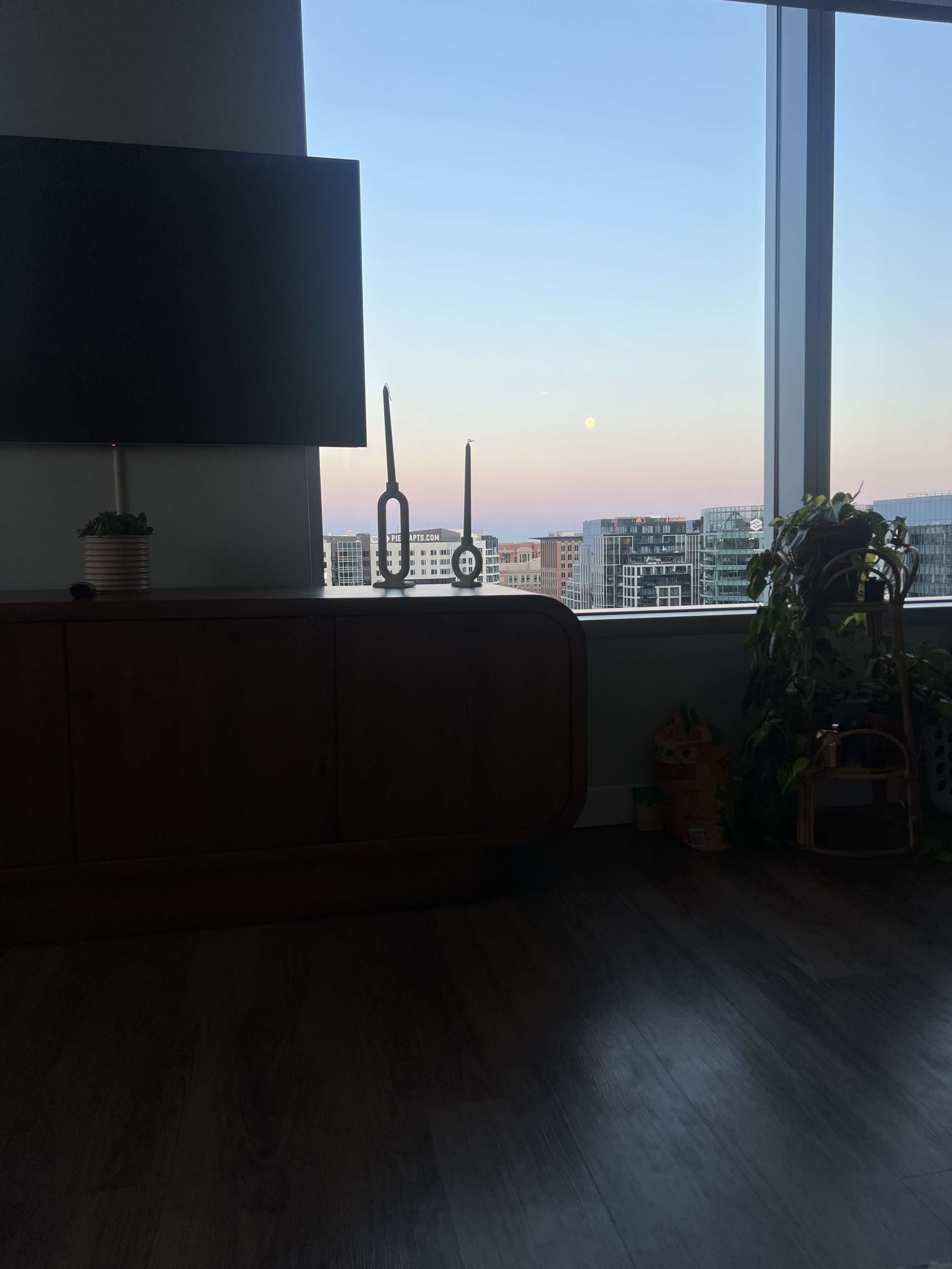 1 bed, 1 bath apartment for rent at 3 Fan Pier Unit 1900, Seaport District — photo 4 of 13