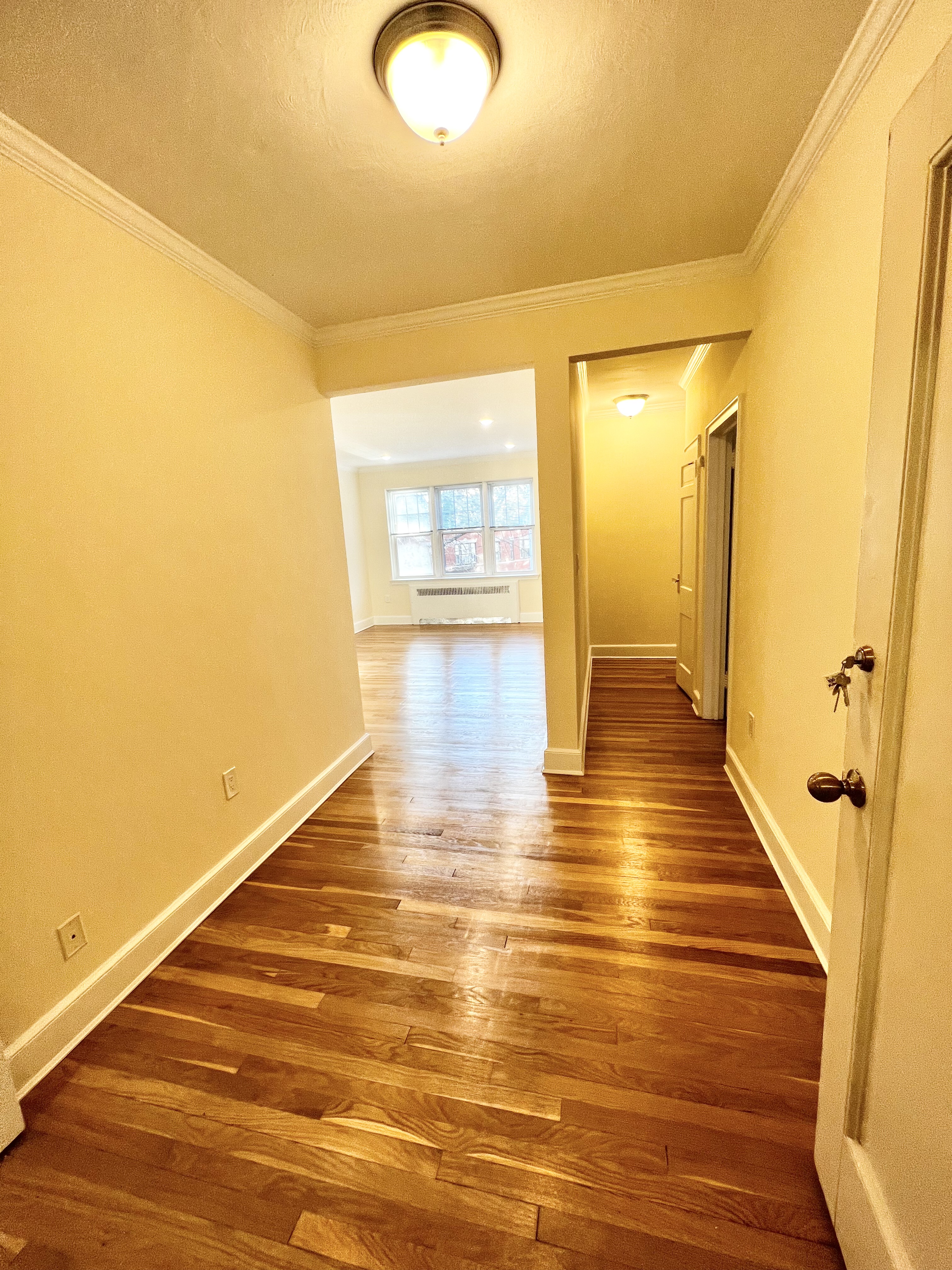 1 bed, 1 bath apartment for rent at 77 Kilsyth Rd Unit 7508, Brighton — photo 13 of 16