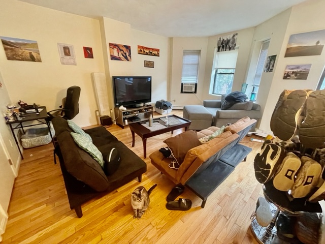 1 bed, 1 bath apartment for rent at 67 South Huntington Ave Unit 3, Jamaica Plain — photo 3 of 8
