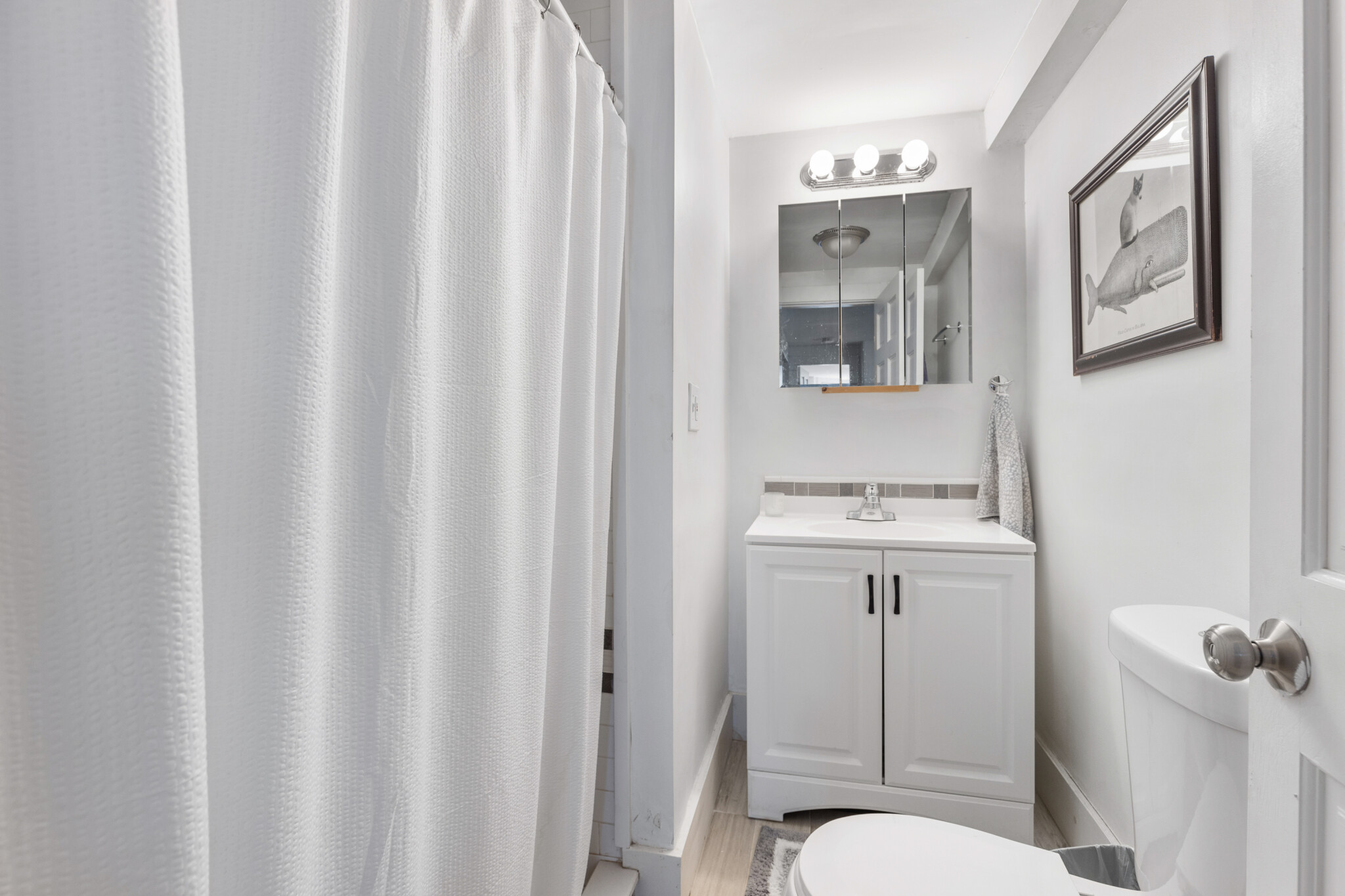 103 Summer St, Spring Hill