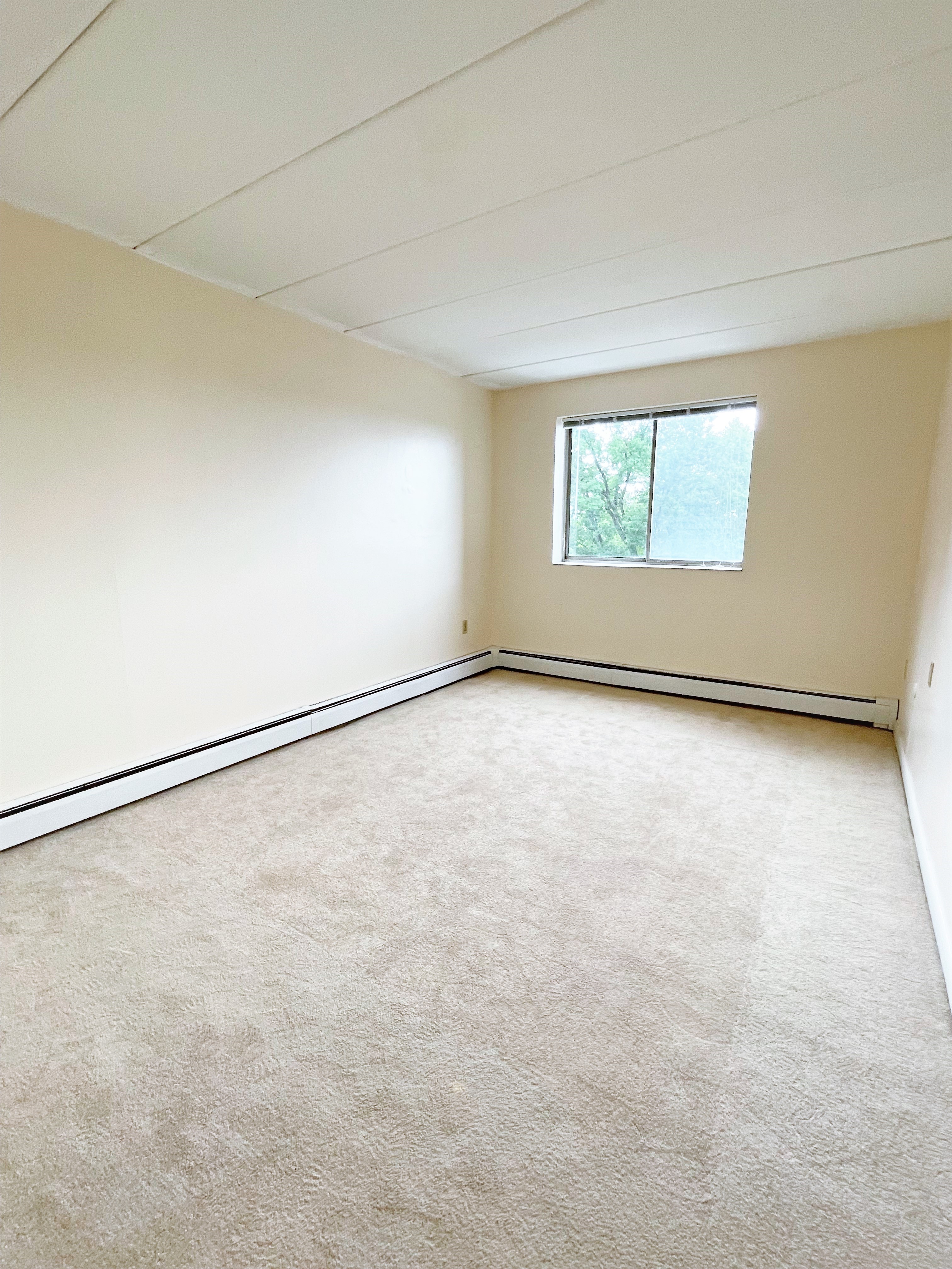2 bed, 1 bath apartment for rent at 225 Independence Ave Unit 24, Quincy — photo 5 of 9
