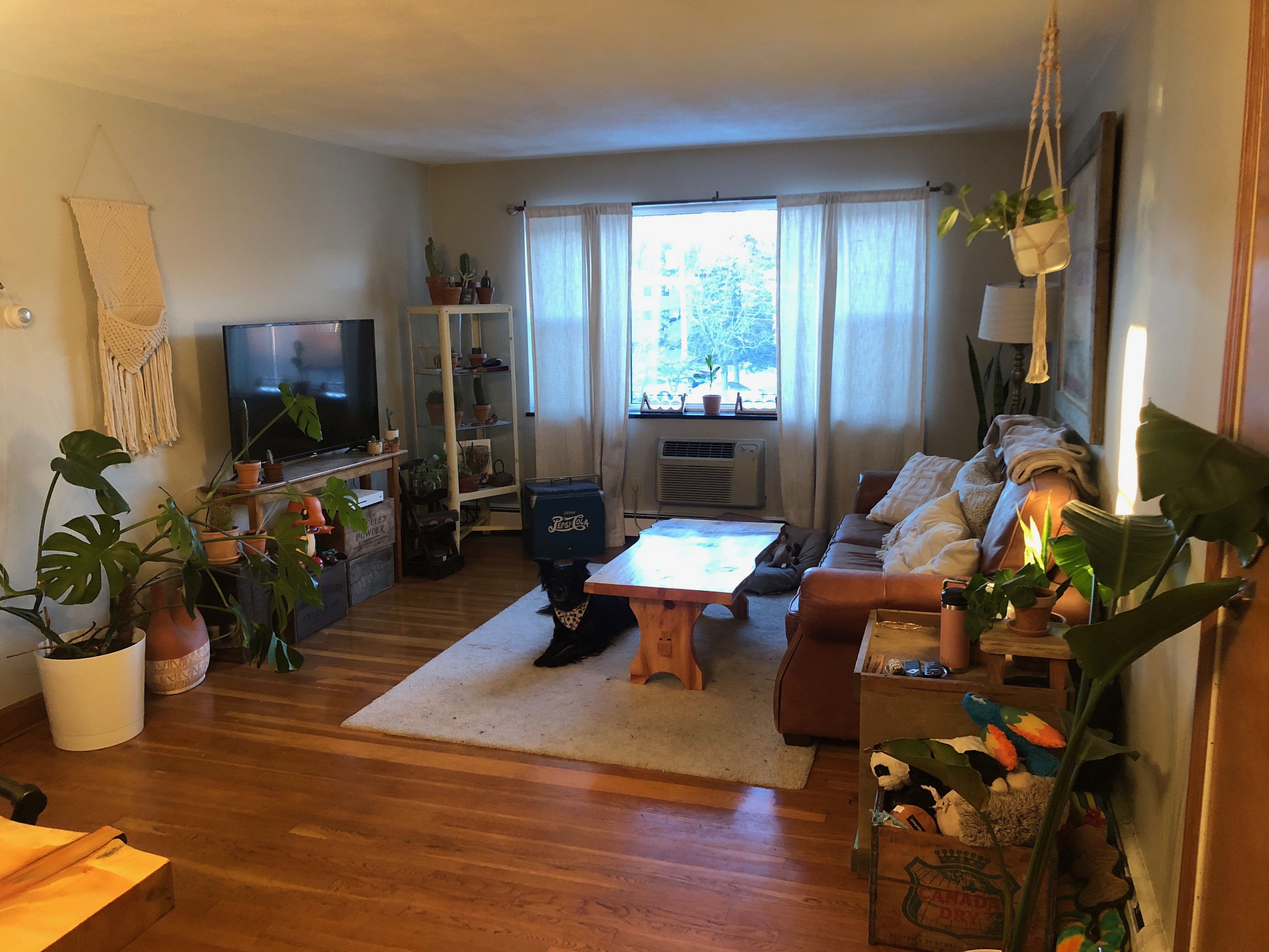 2 bed, 1 bath apartment for rent at 288 Grove St Unit 11, Newton — photo 3 of 6