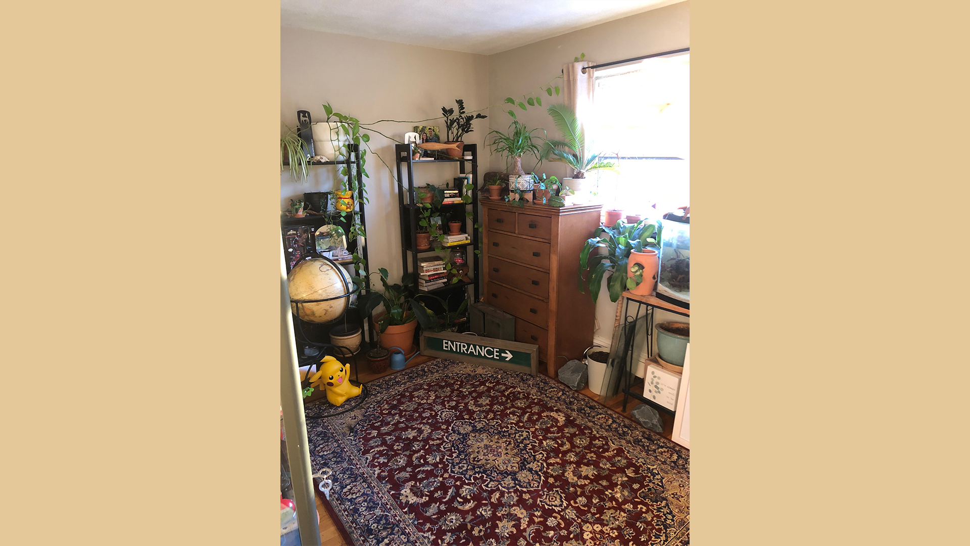 2 bed, 1 bath apartment for rent at 288 Grove St Unit 11, Newton — photo 6 of 6