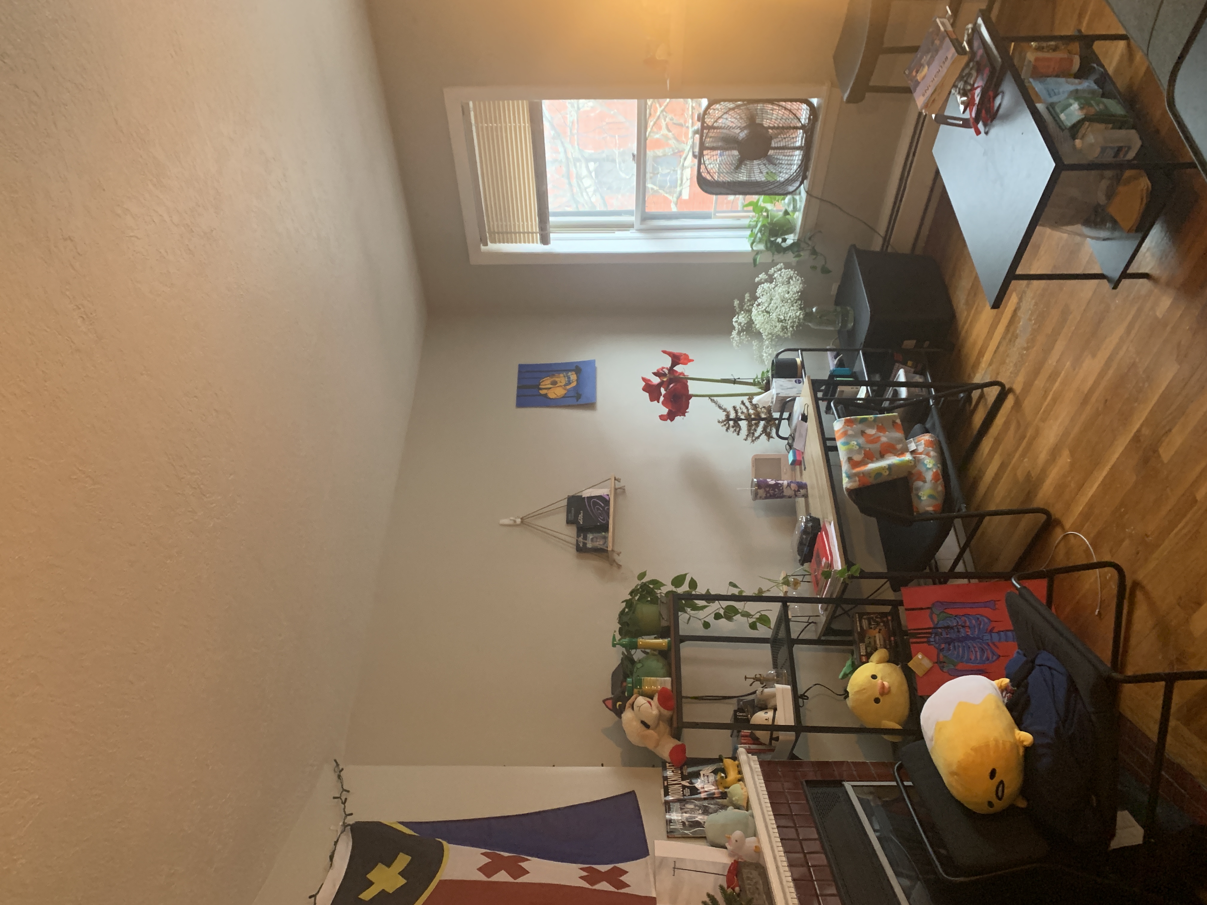 2 bed, 1 bath apartment for rent at 38 Garden St Unit 4, Beacon Hill — photo 24 of 26
