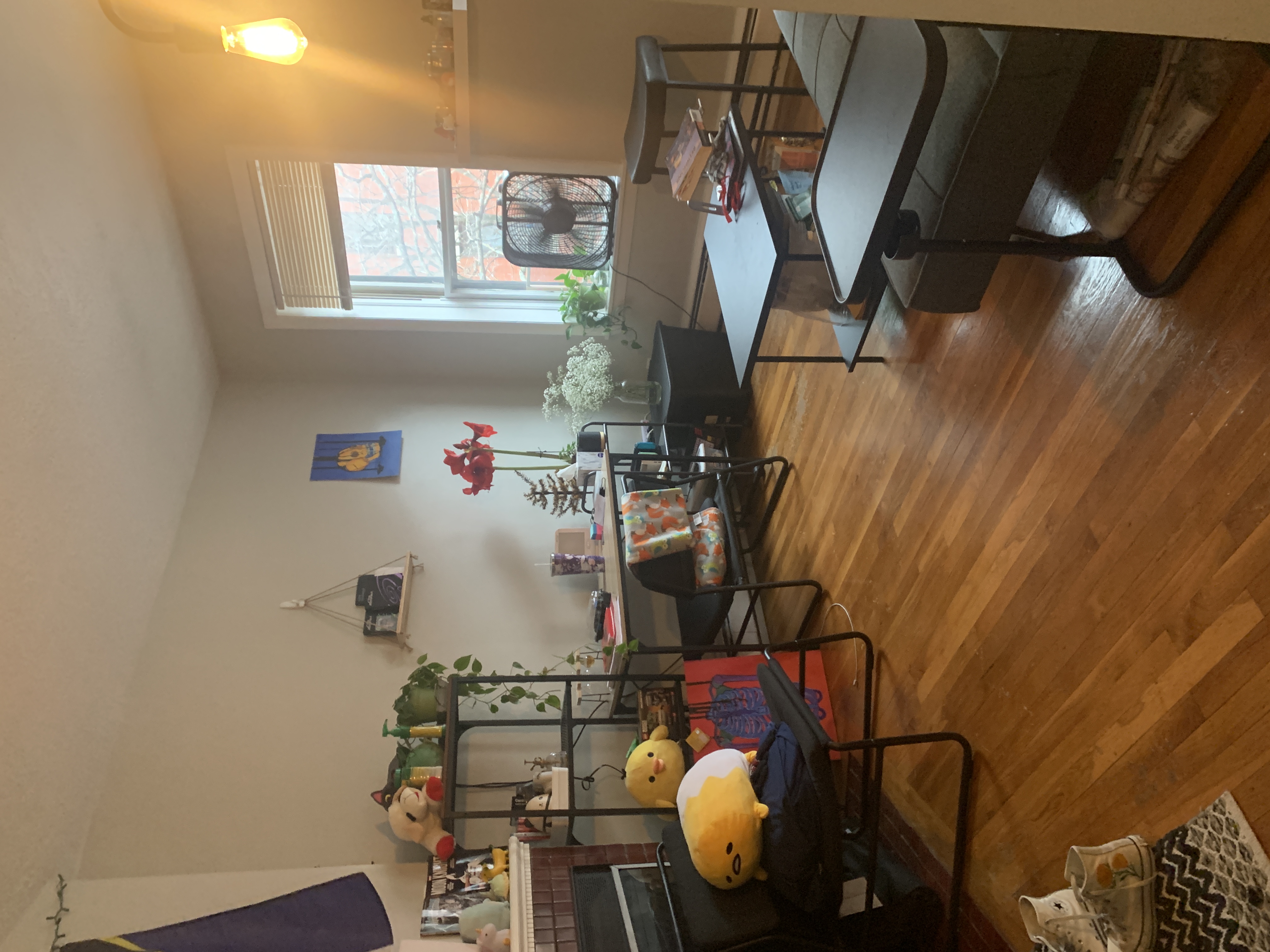 2 bed, 1 bath apartment for rent at 38 Garden St Unit 4, Beacon Hill — photo 17 of 26