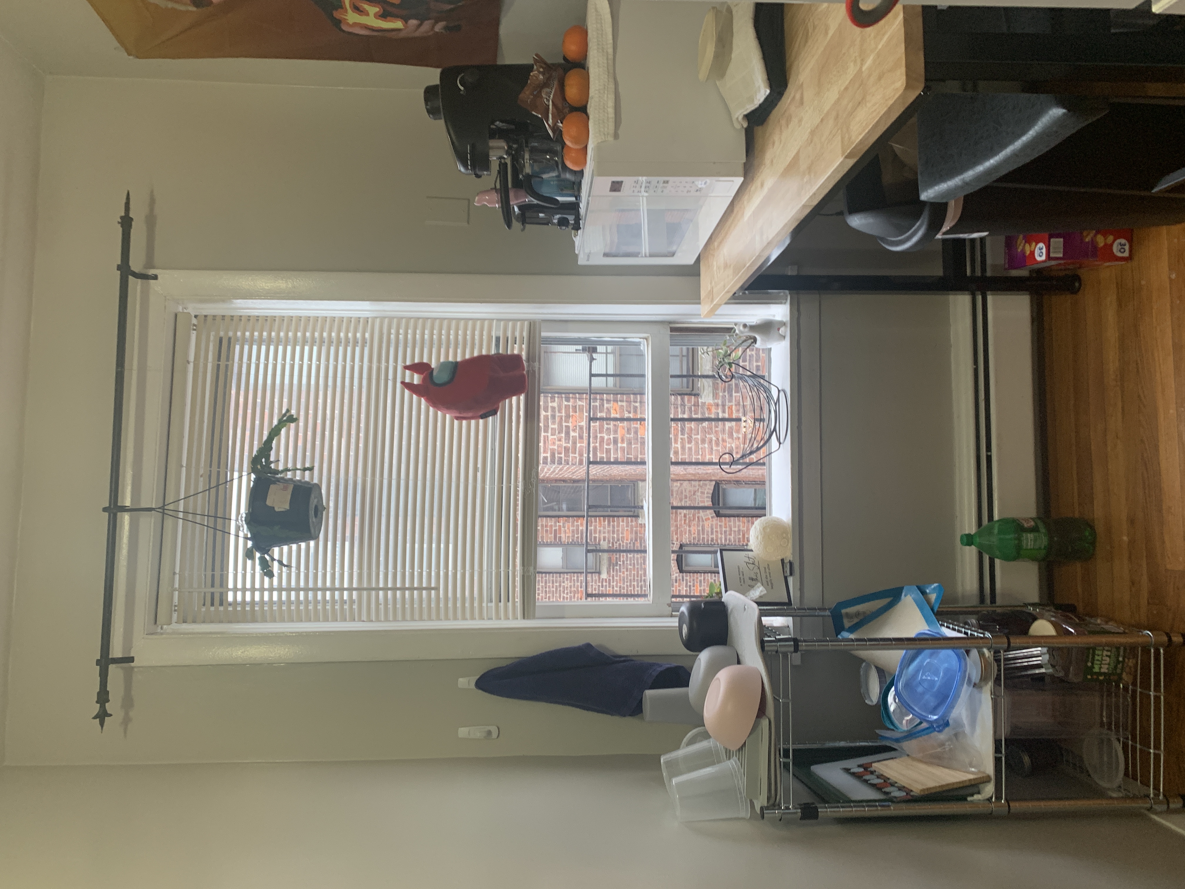 2 bed, 1 bath apartment for rent at 38 Garden St Unit 4, Beacon Hill — photo 12 of 26