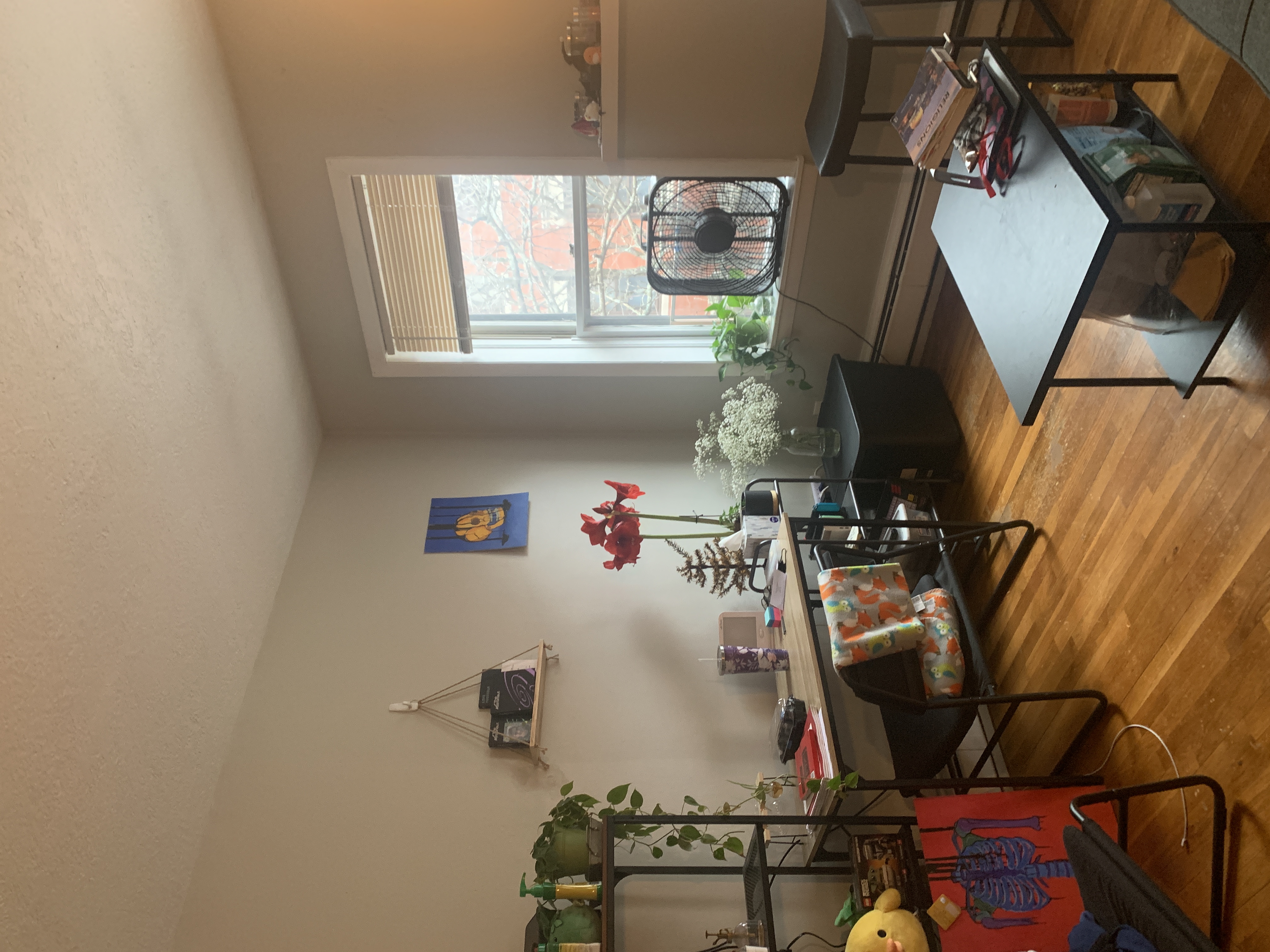 2 bed, 1 bath apartment for rent at 38 Garden St Unit 4, Beacon Hill — photo 2 of 26