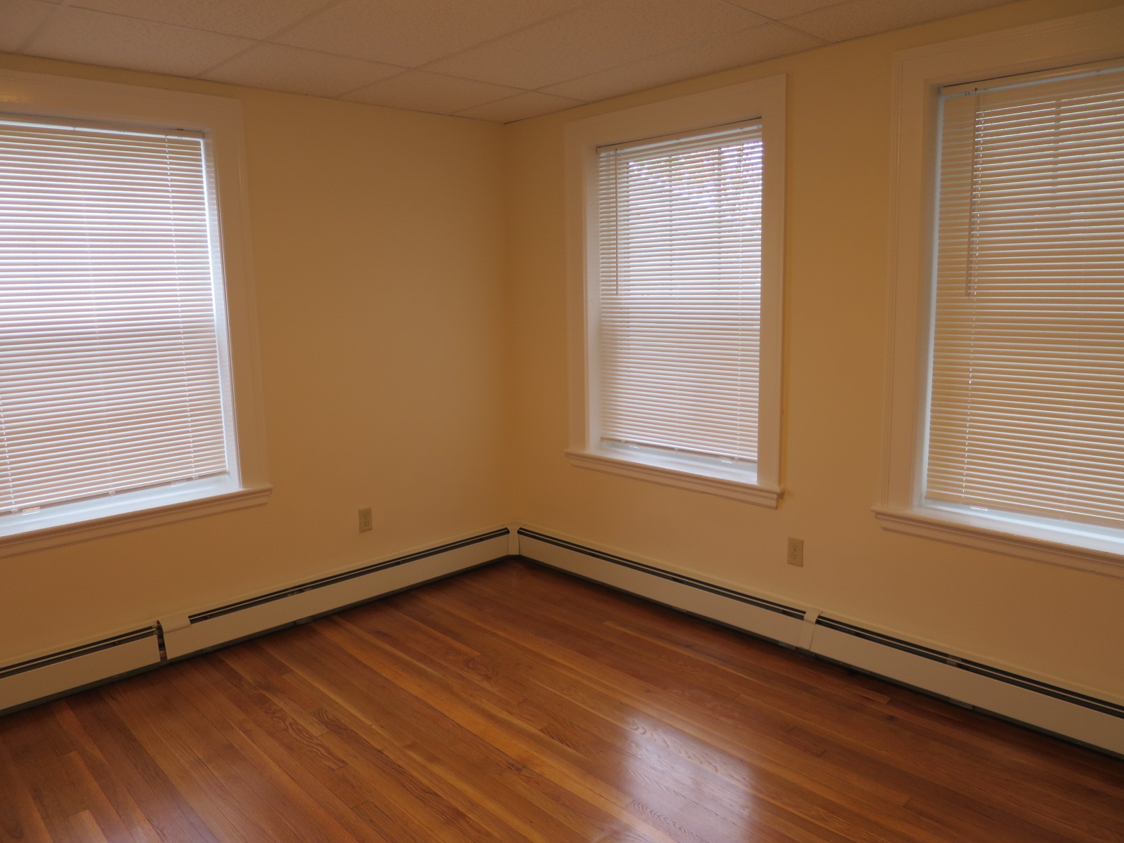 1 bed, 1 bath apartment for rent at 36 College Ave Unit 34, Davis Square — photo 9 of 11