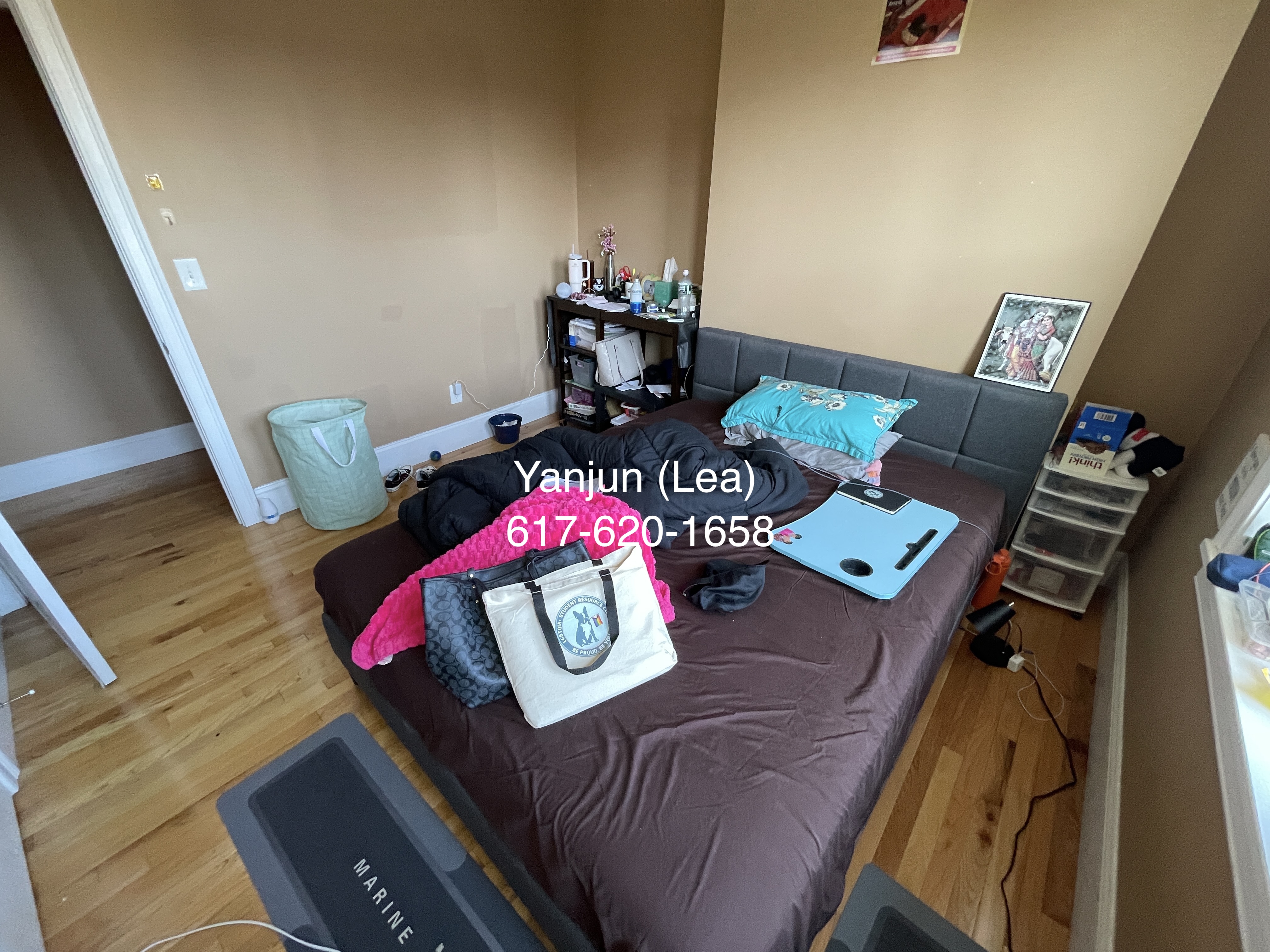 6 Lothian Rd, Brighton