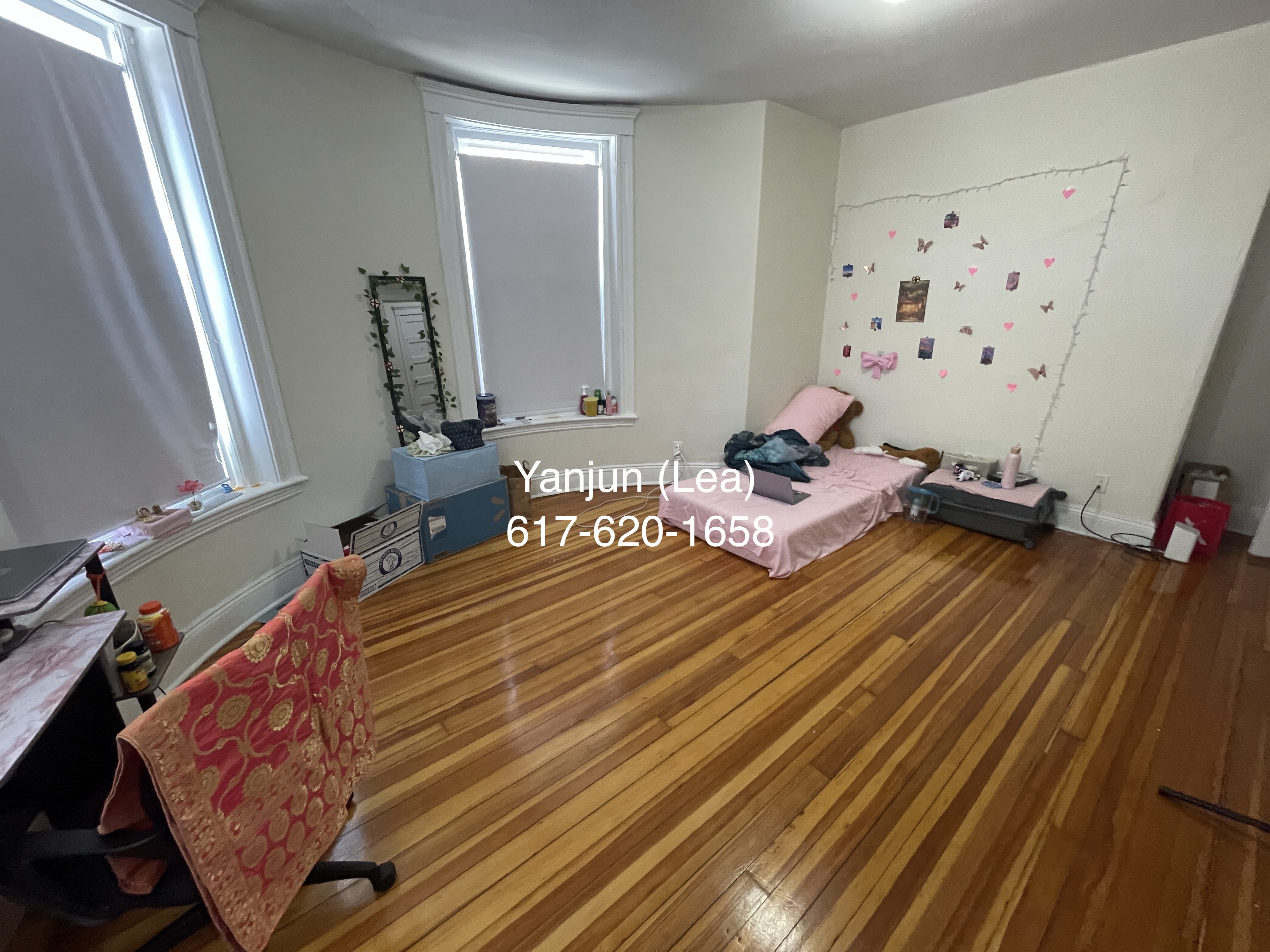 19 Mount Hood Rd, Brighton