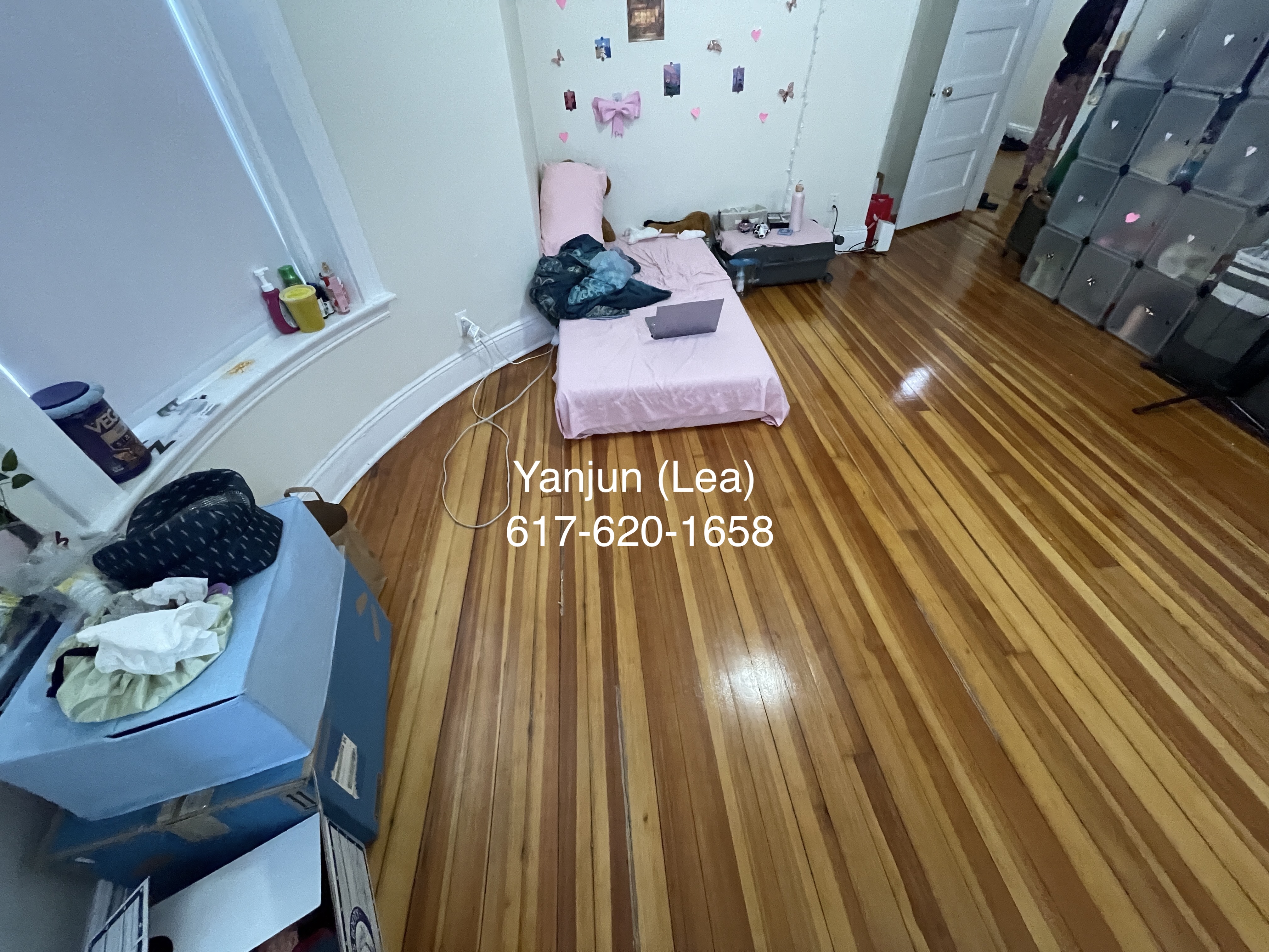 19 Mount Hood Rd, Brighton