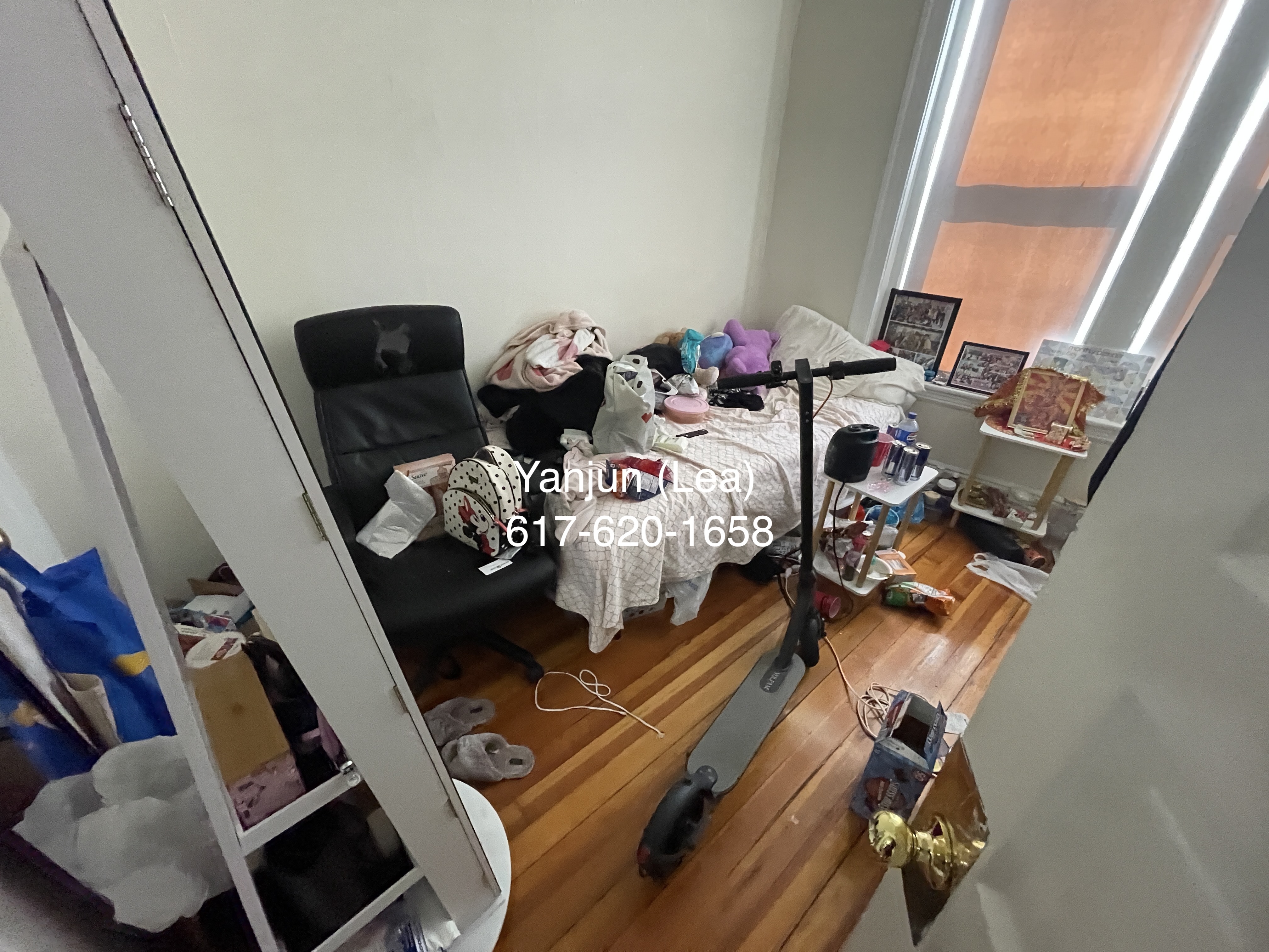 19 Mount Hood Rd, Brighton