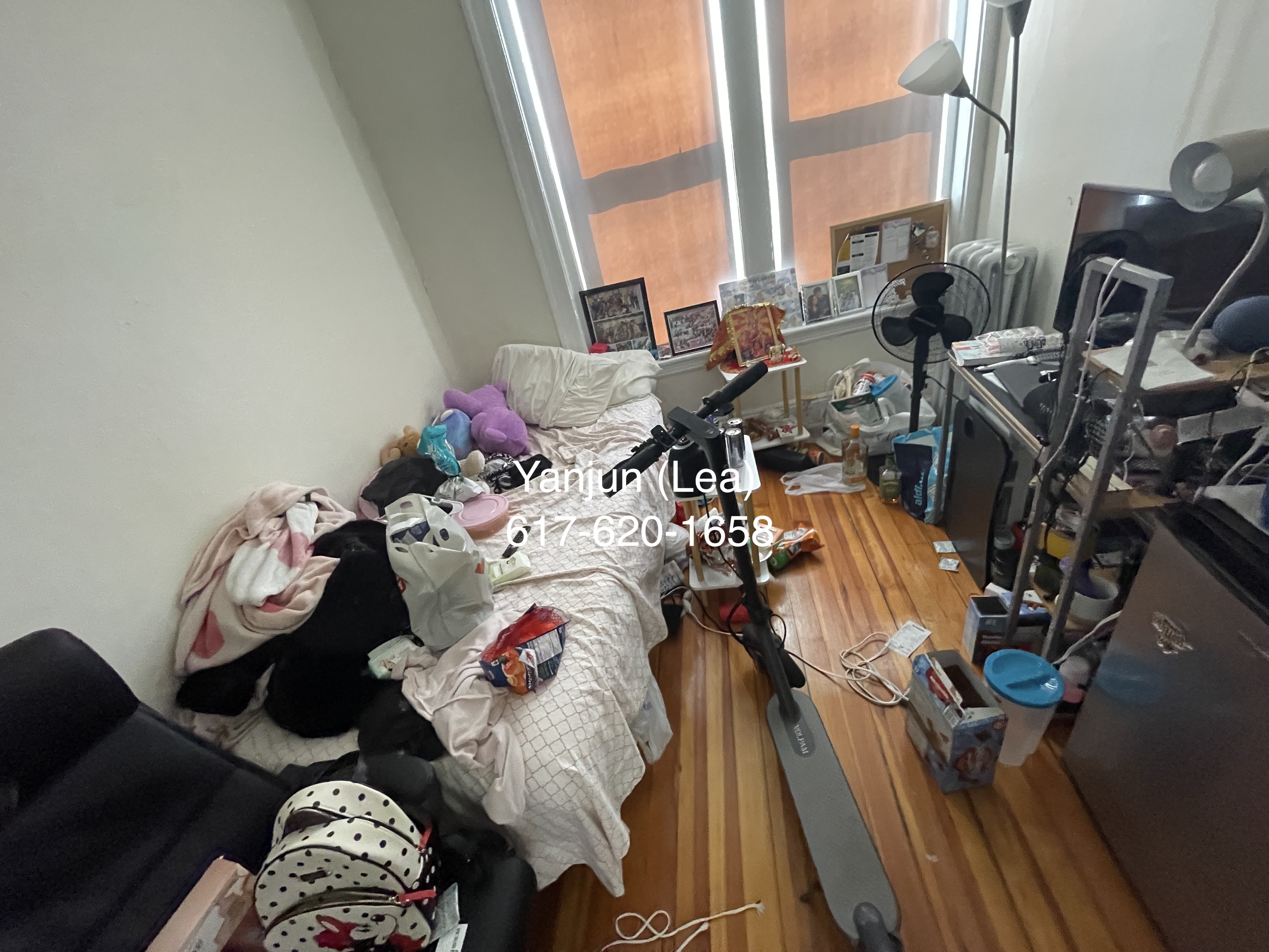 19 Mount Hood Rd, Brighton