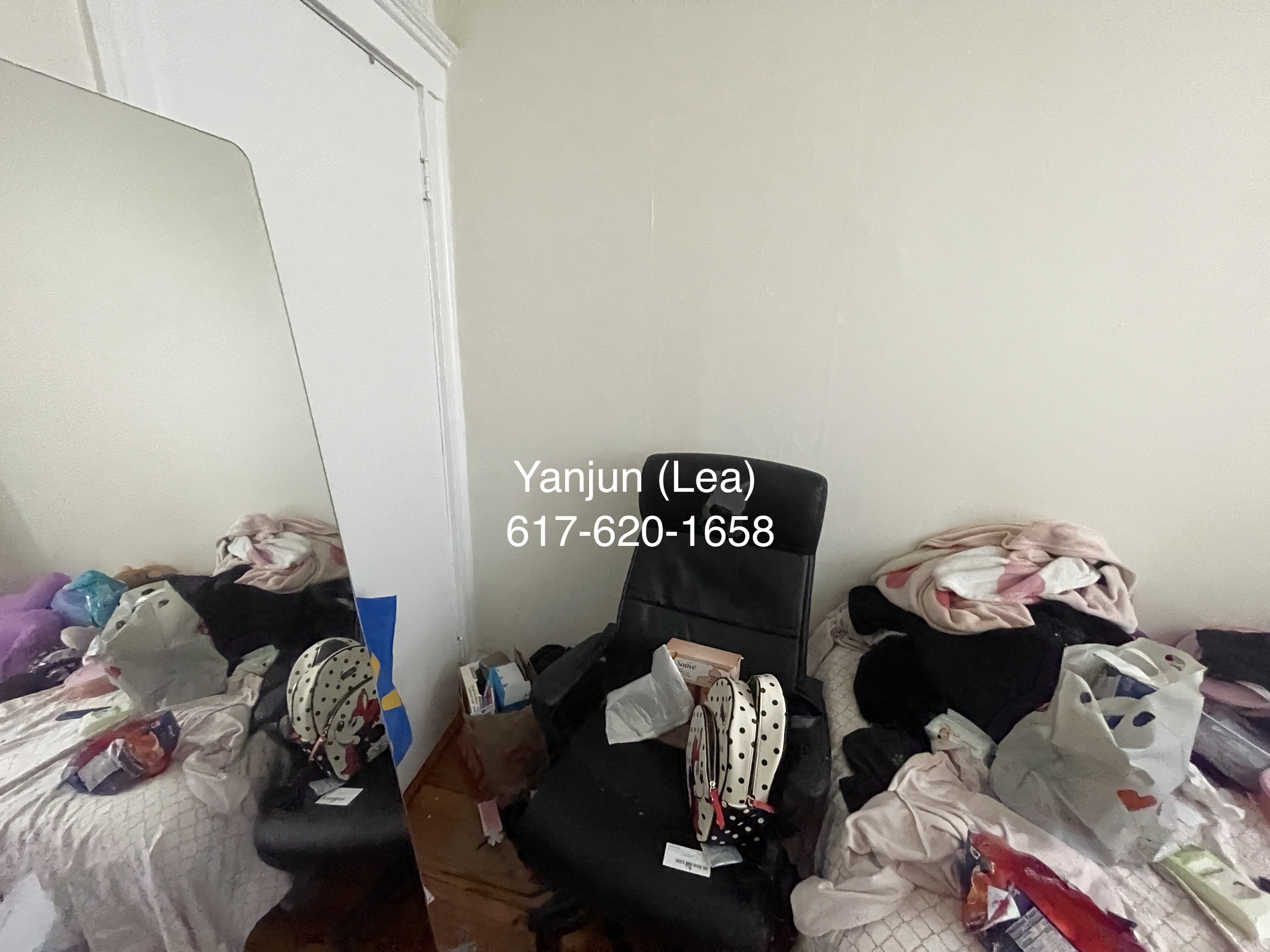 19 Mount Hood Rd, Brighton