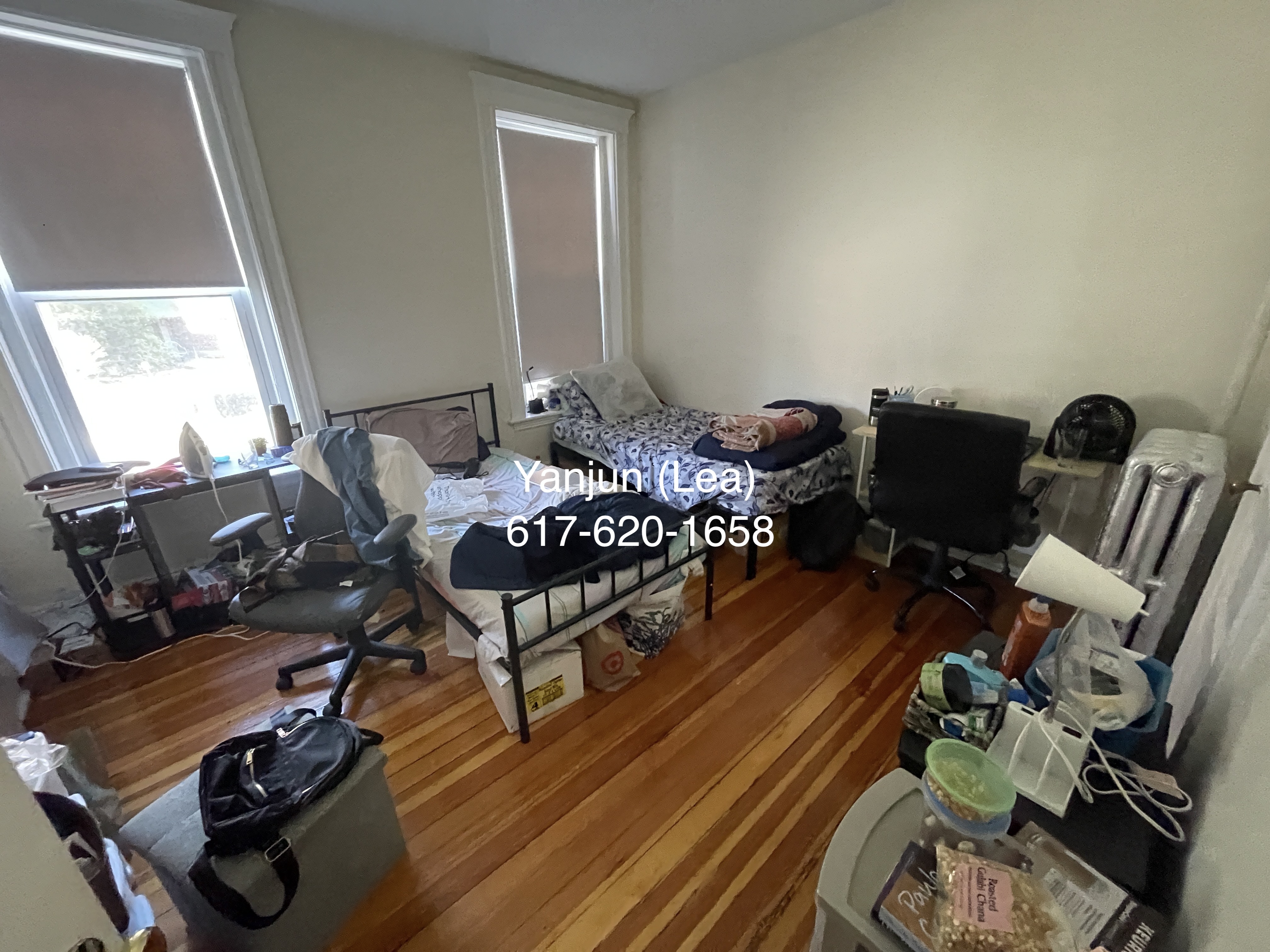 19 Mount Hood Rd, Brighton