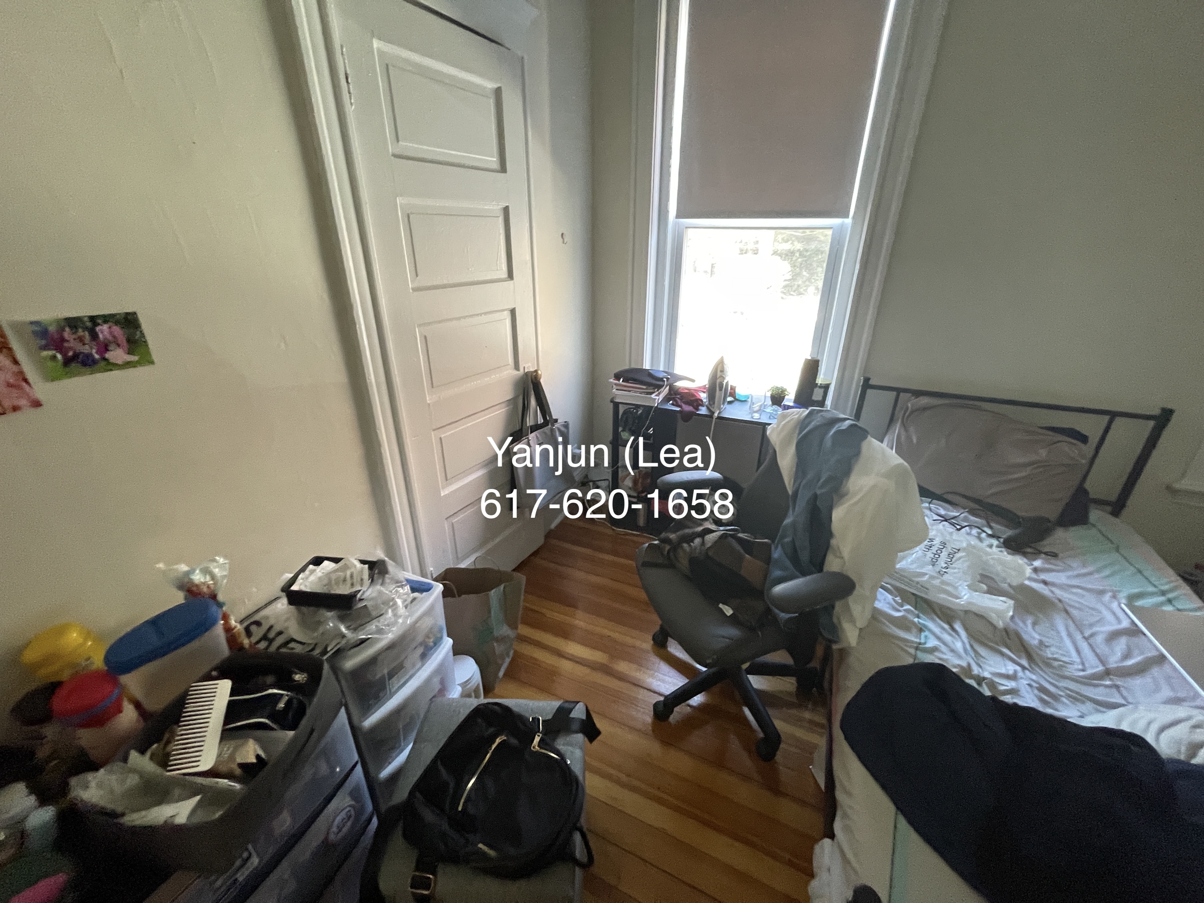 19 Mount Hood Rd, Brighton