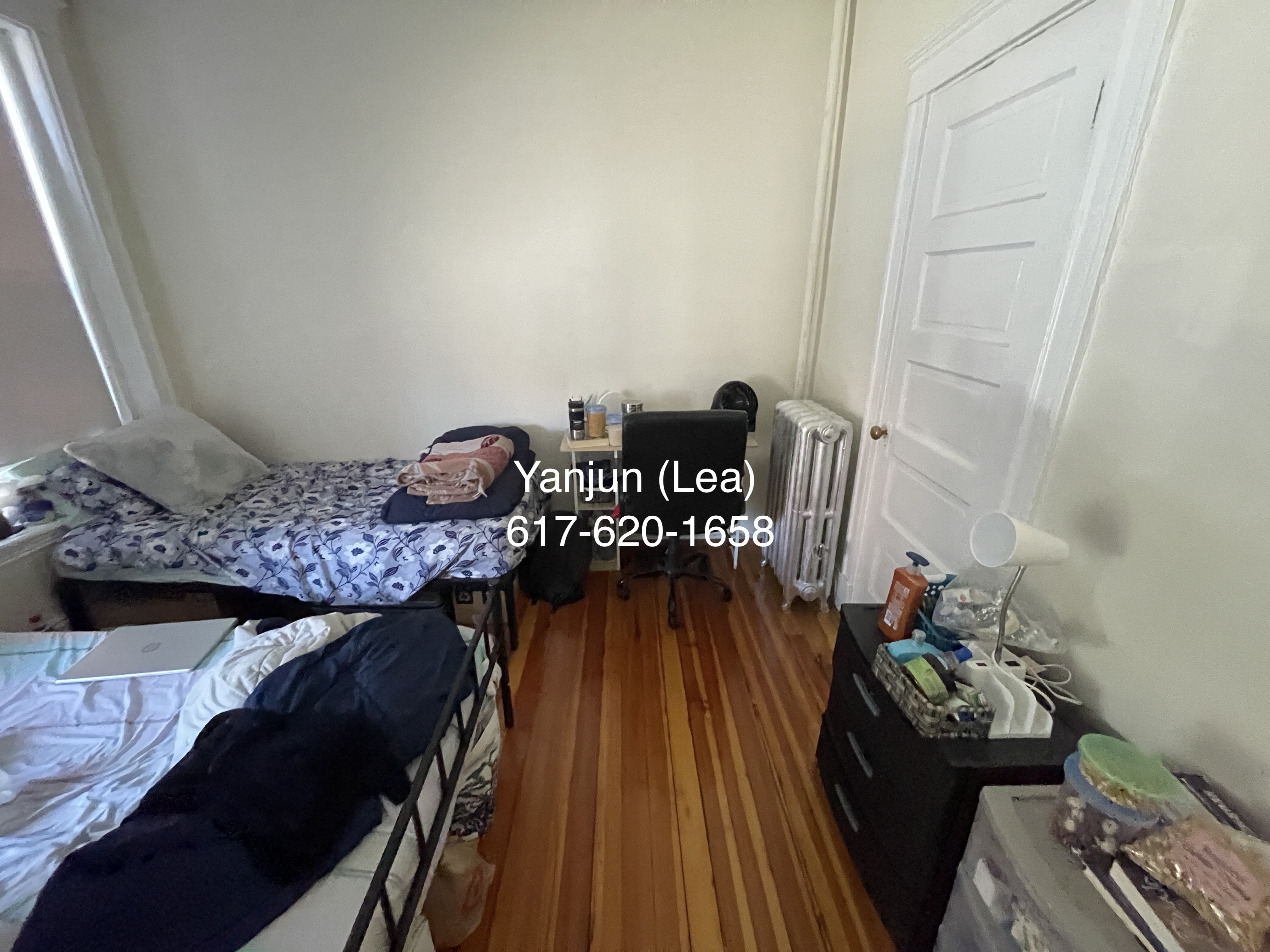 19 Mount Hood Rd, Brighton