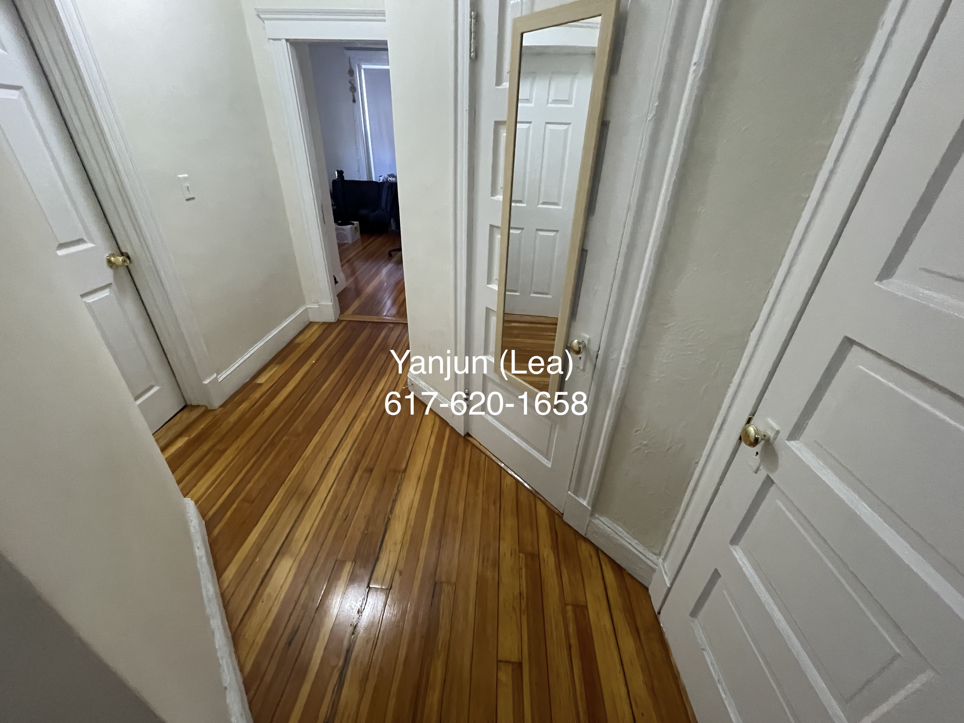 19 Mount Hood Rd, Brighton