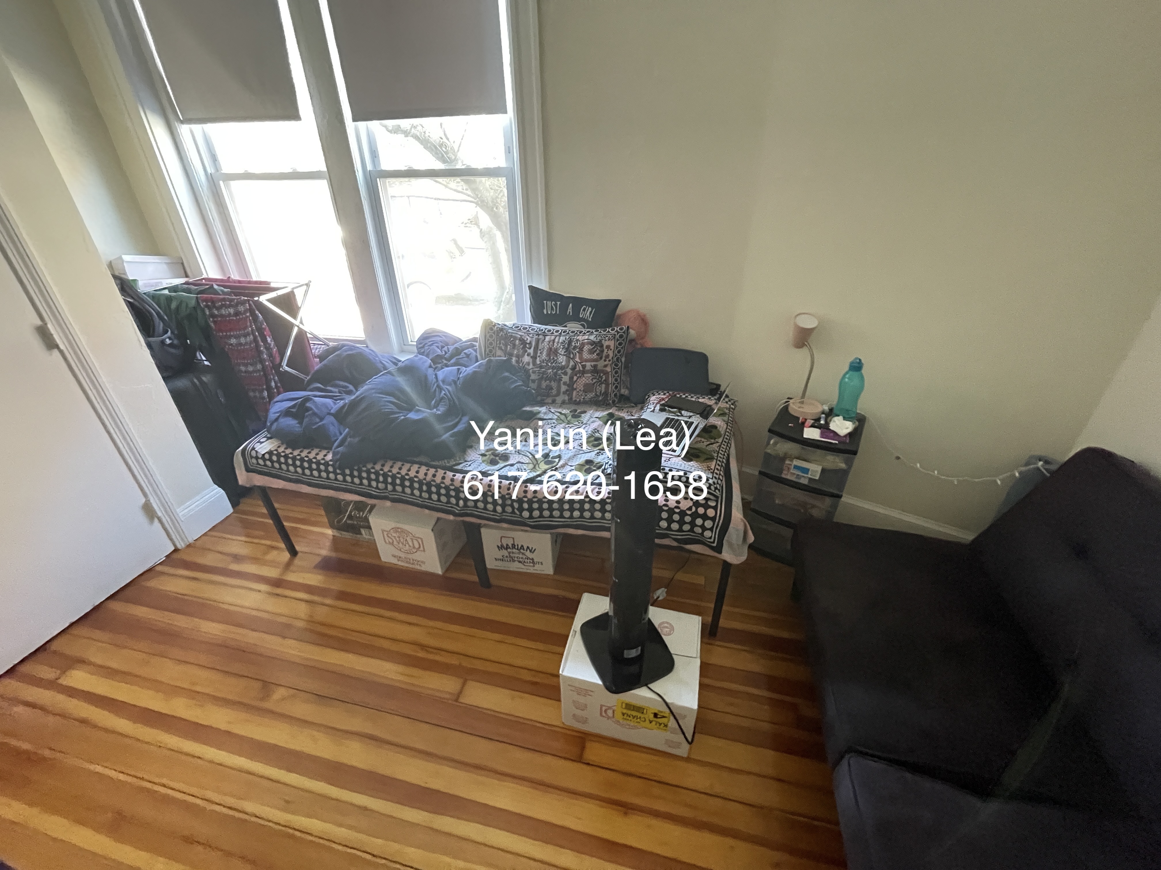 19 Mount Hood Rd, Brighton