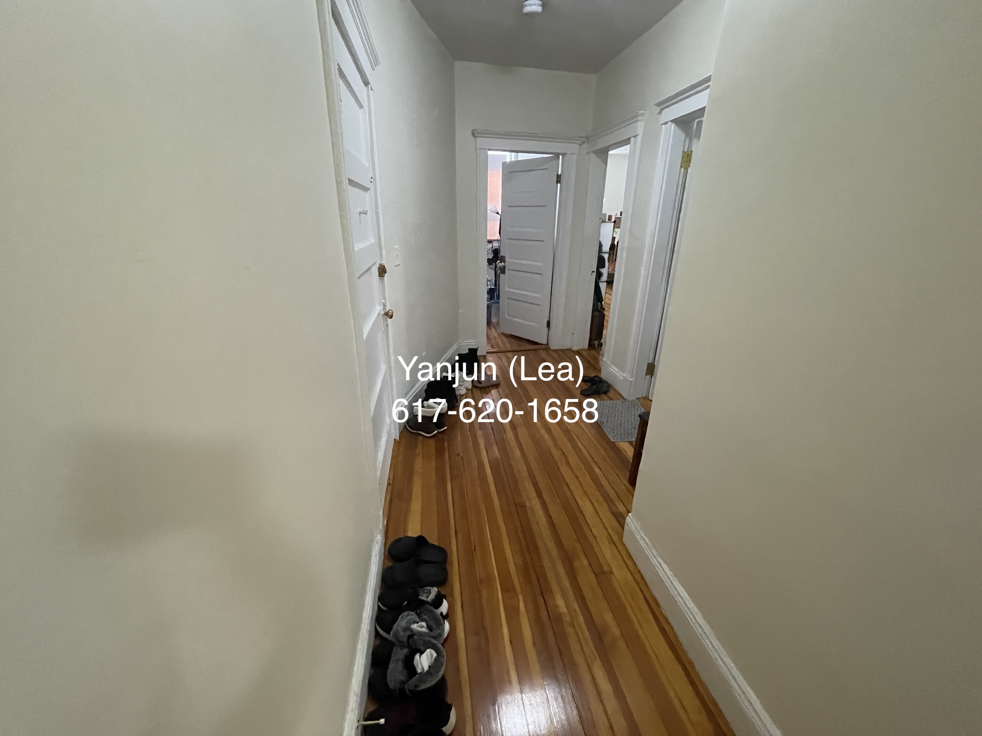 19 Mount Hood Rd, Brighton