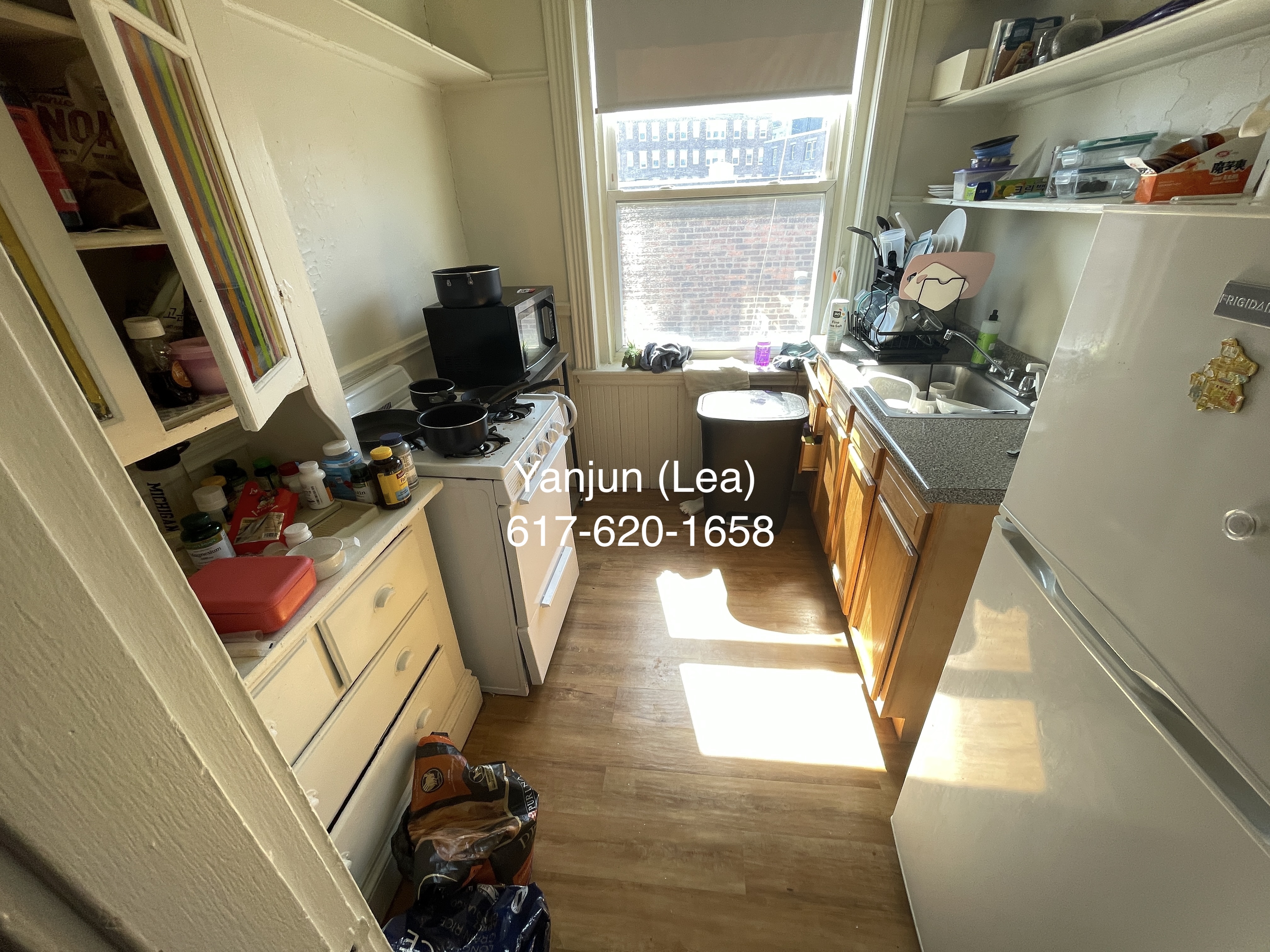 5 Walbridge St, Brighton