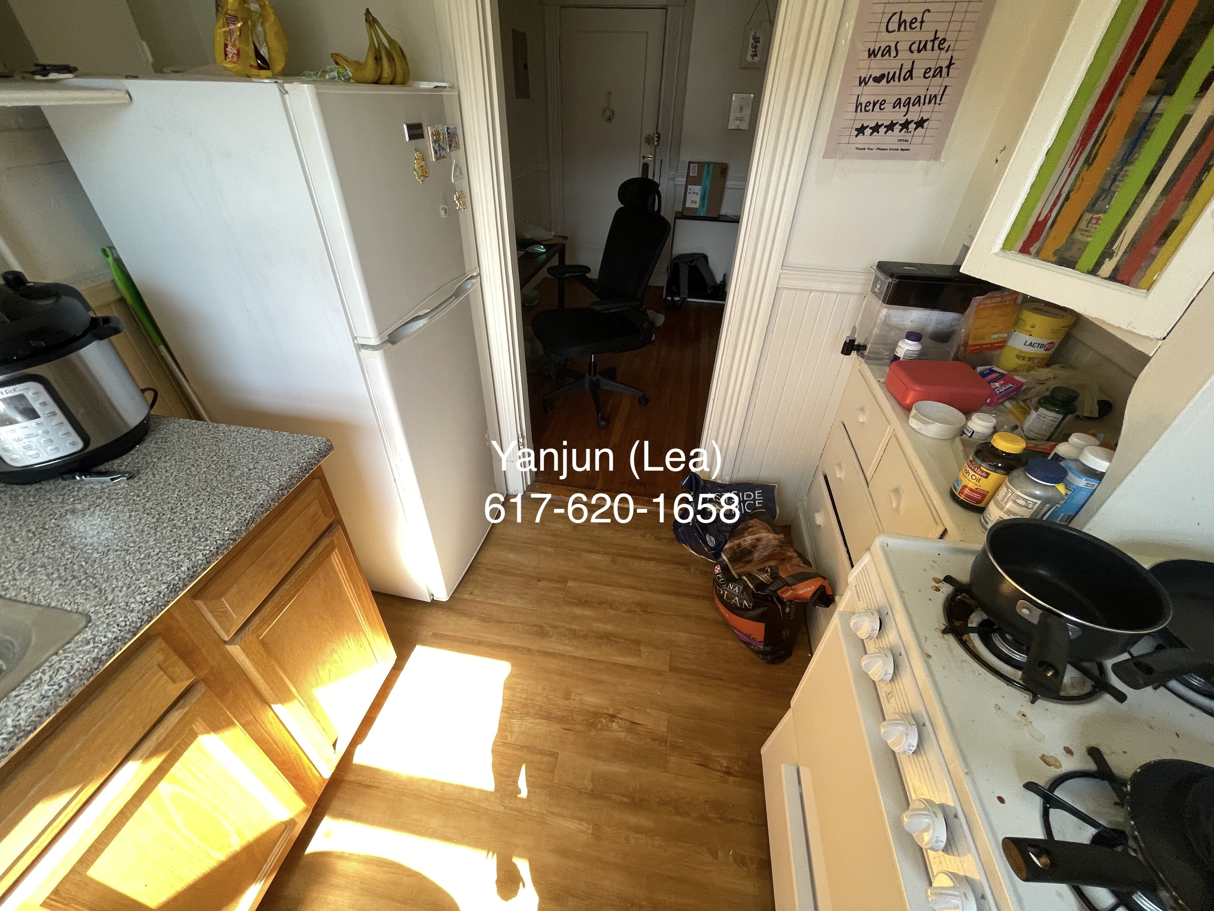 5 Walbridge St, Brighton