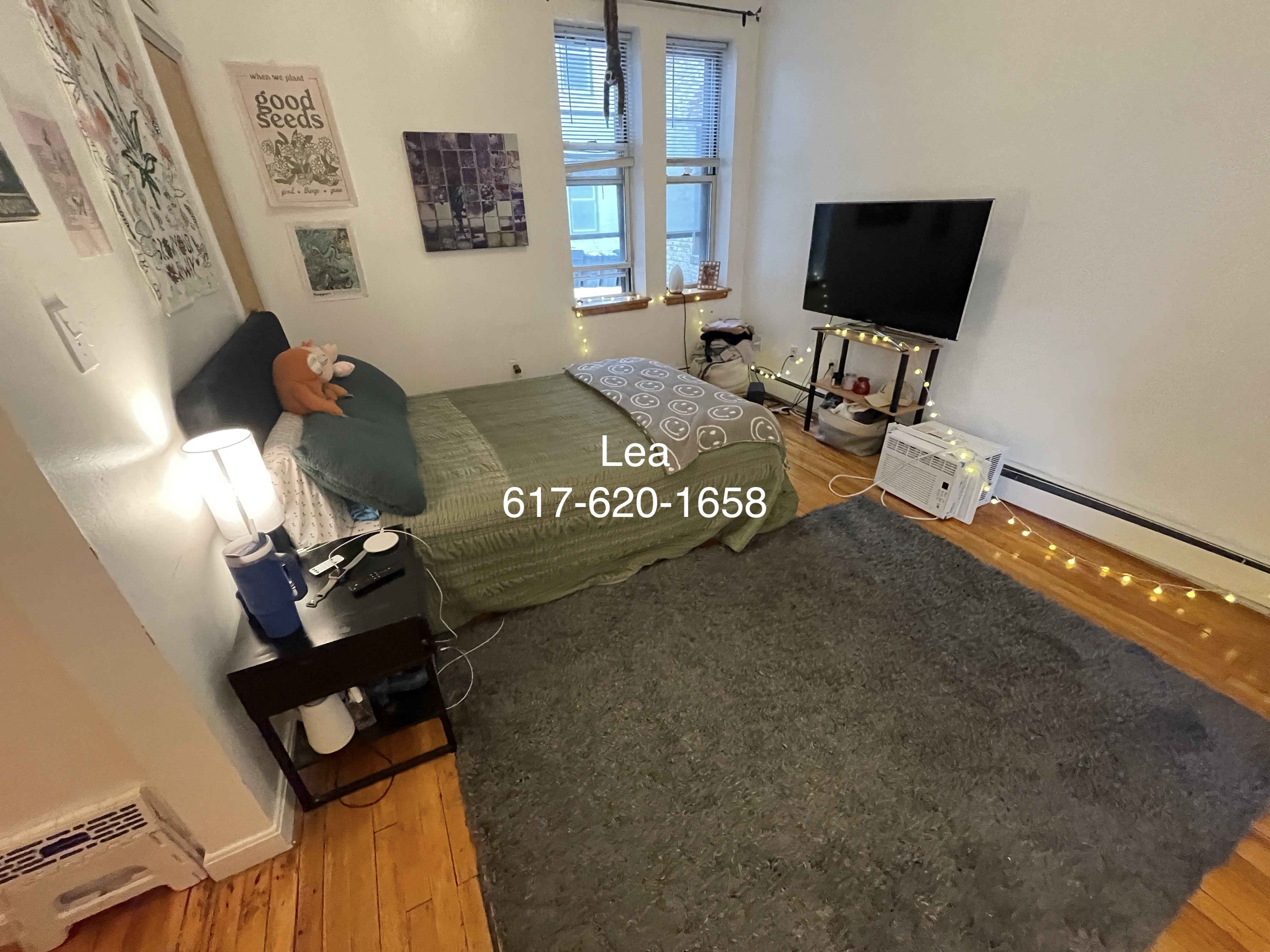 206 Chestnut Hill Ave, Brighton