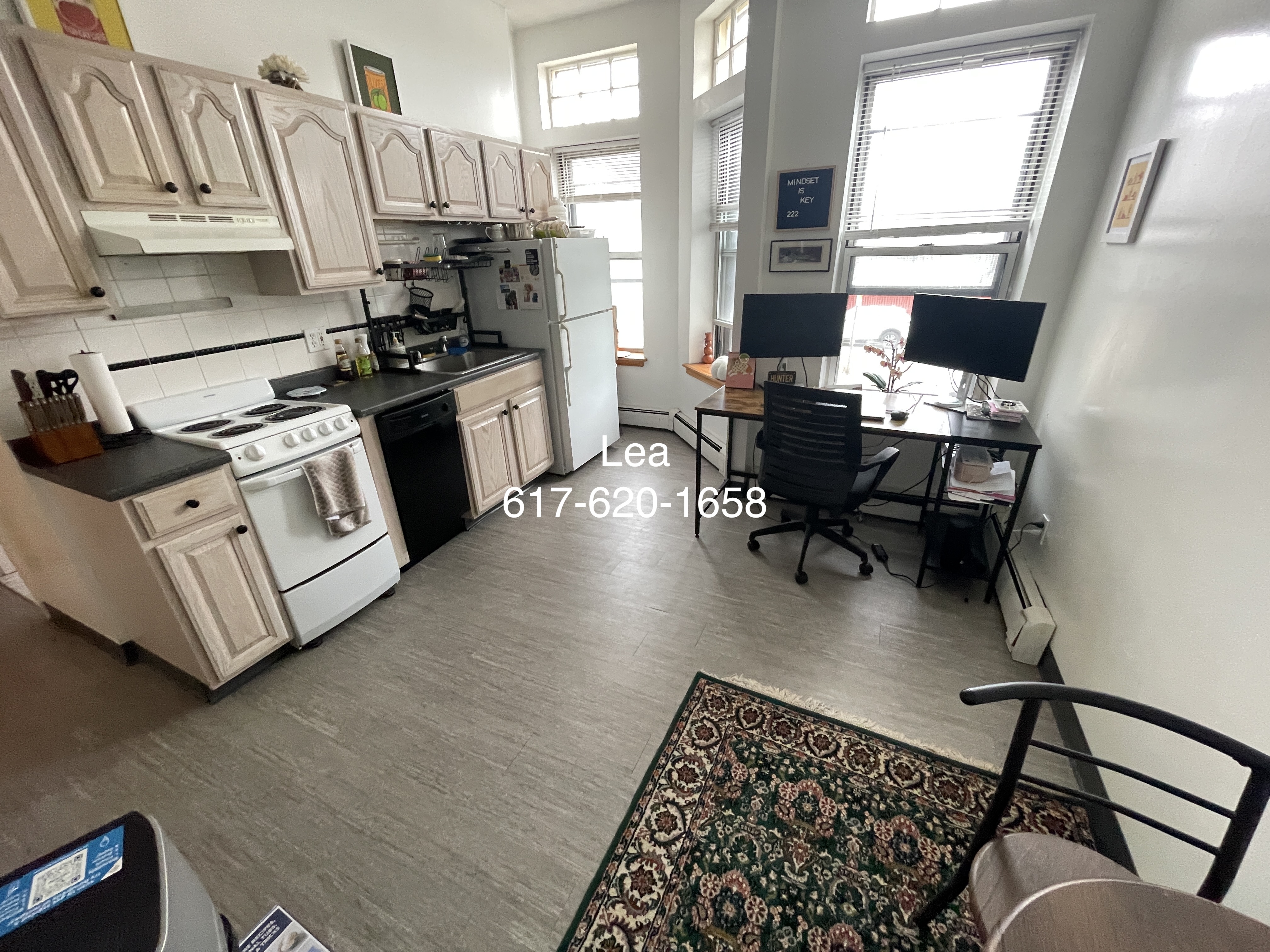 206 Chestnut Hill Ave, Brighton