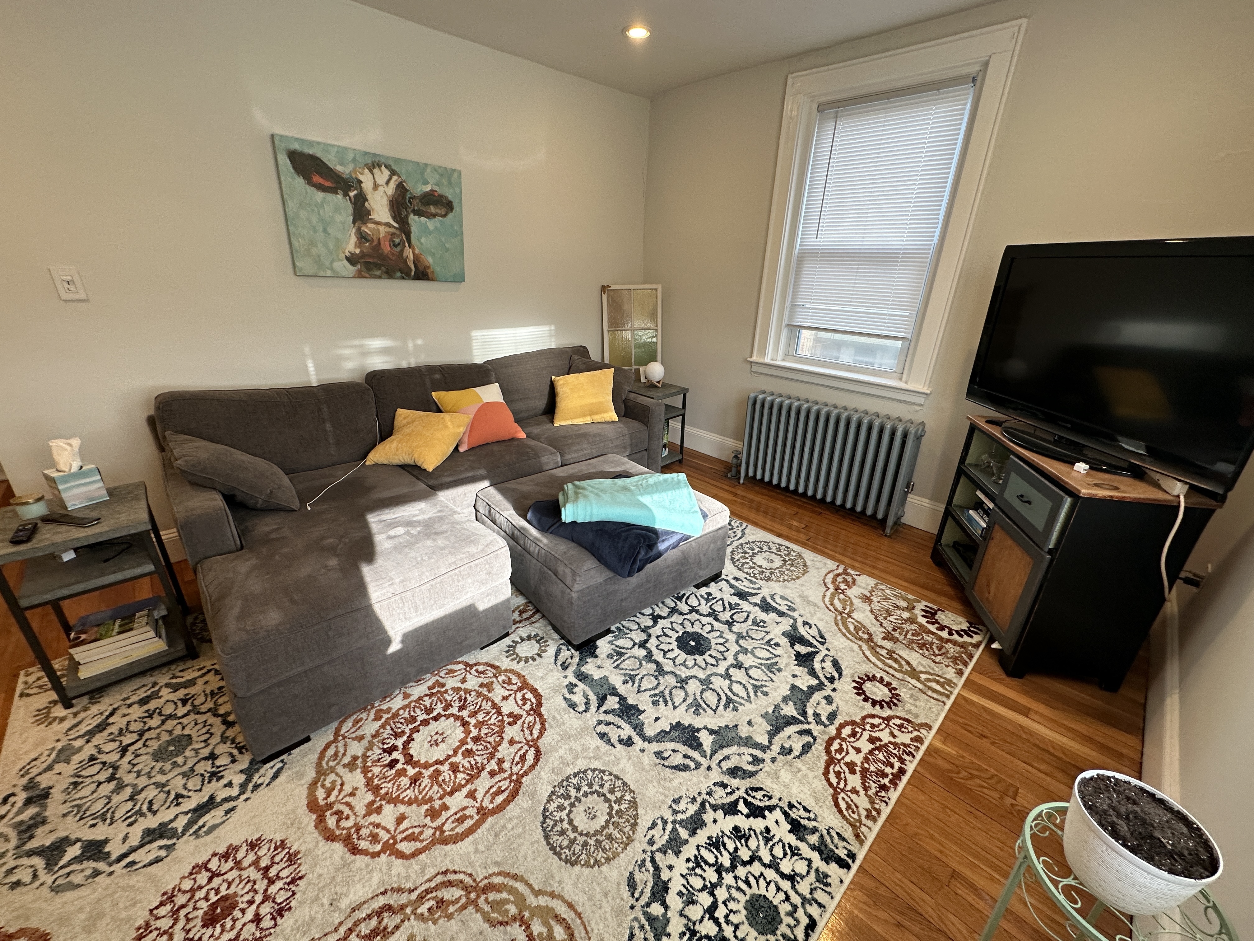 1 bed, 1 bath apartment for rent at 136 Highland Ave Unit 32, Winter Hill — photo 2 of 14