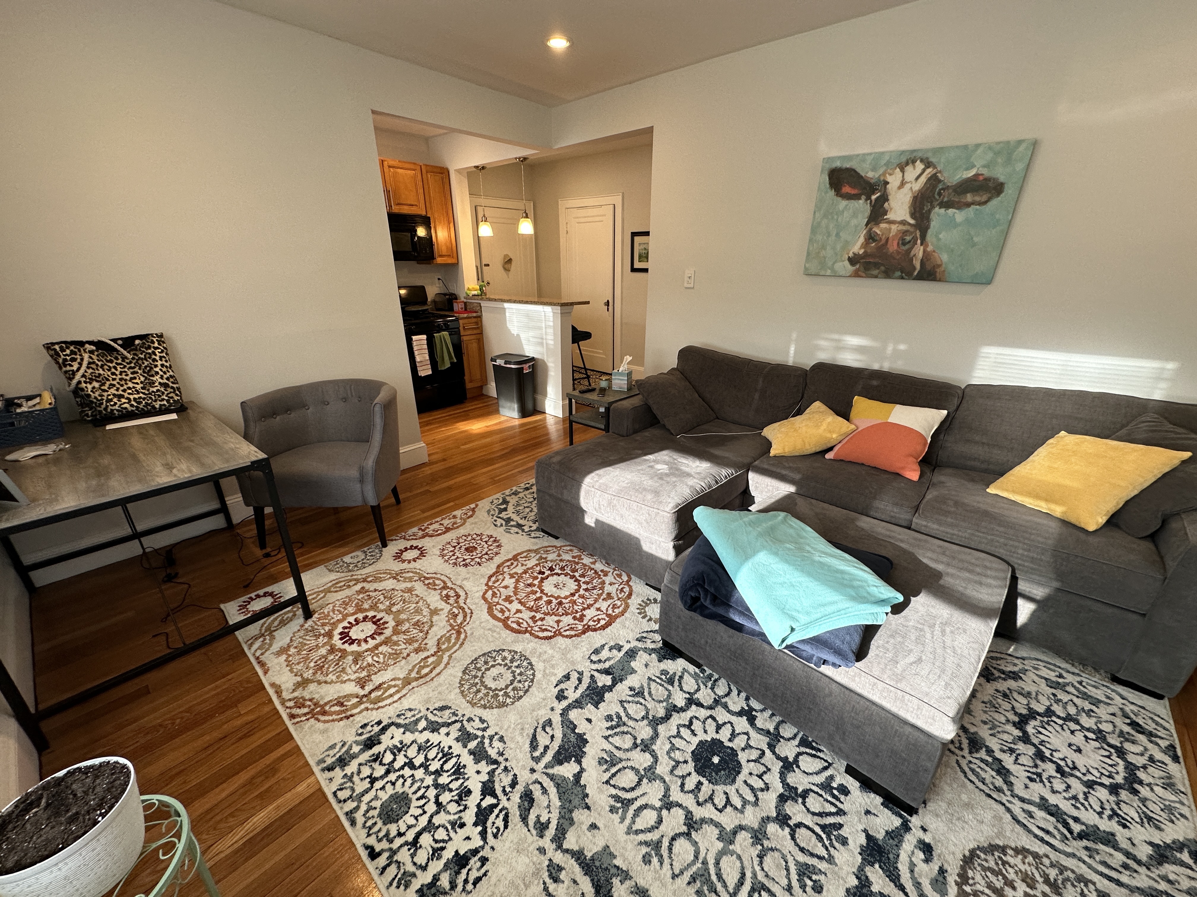 1 bed, 1 bath apartment for rent at 136 Highland Ave Unit 32, Winter Hill — photo 3 of 14