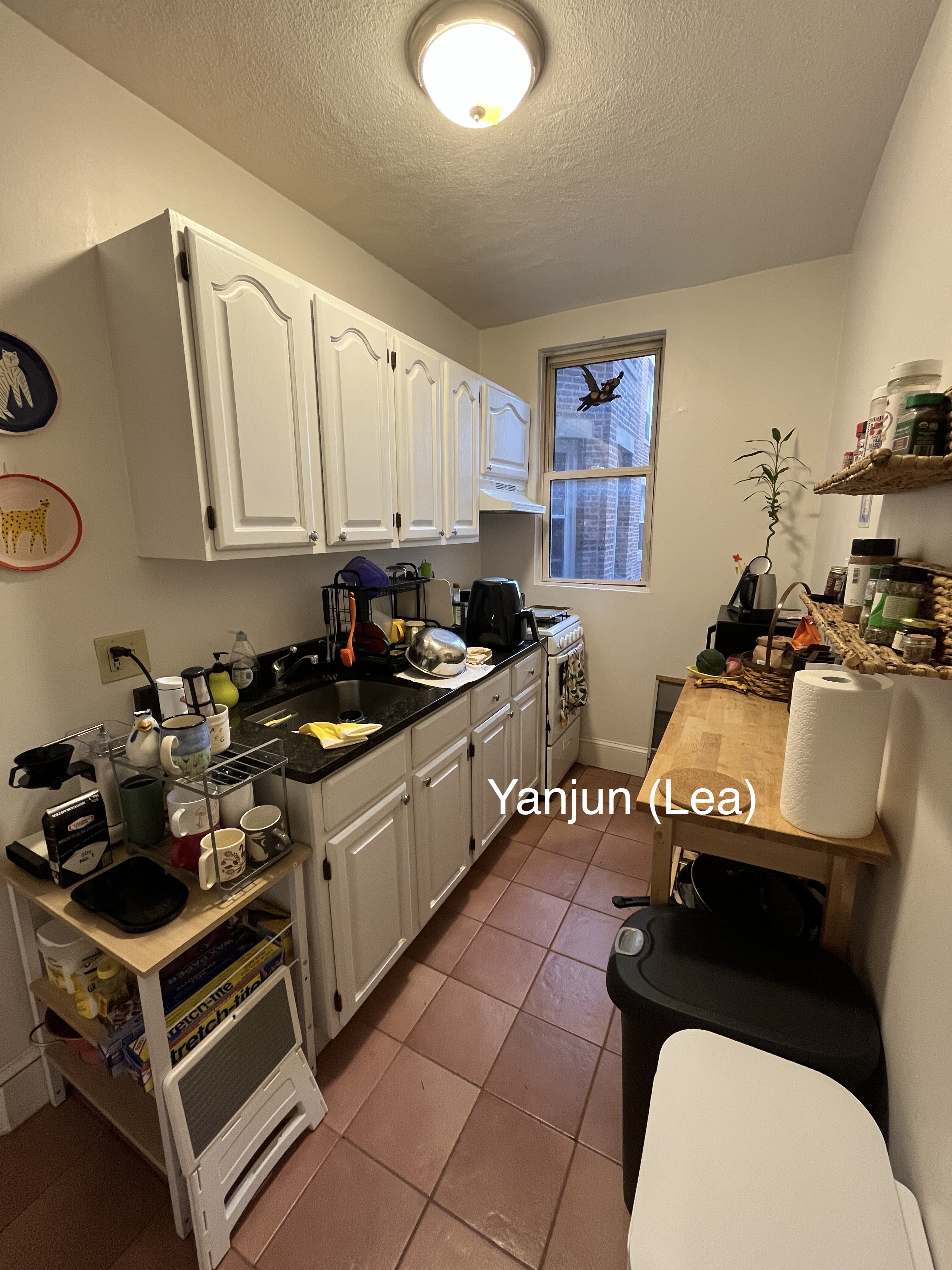 11 Scottfield Rd, Brighton