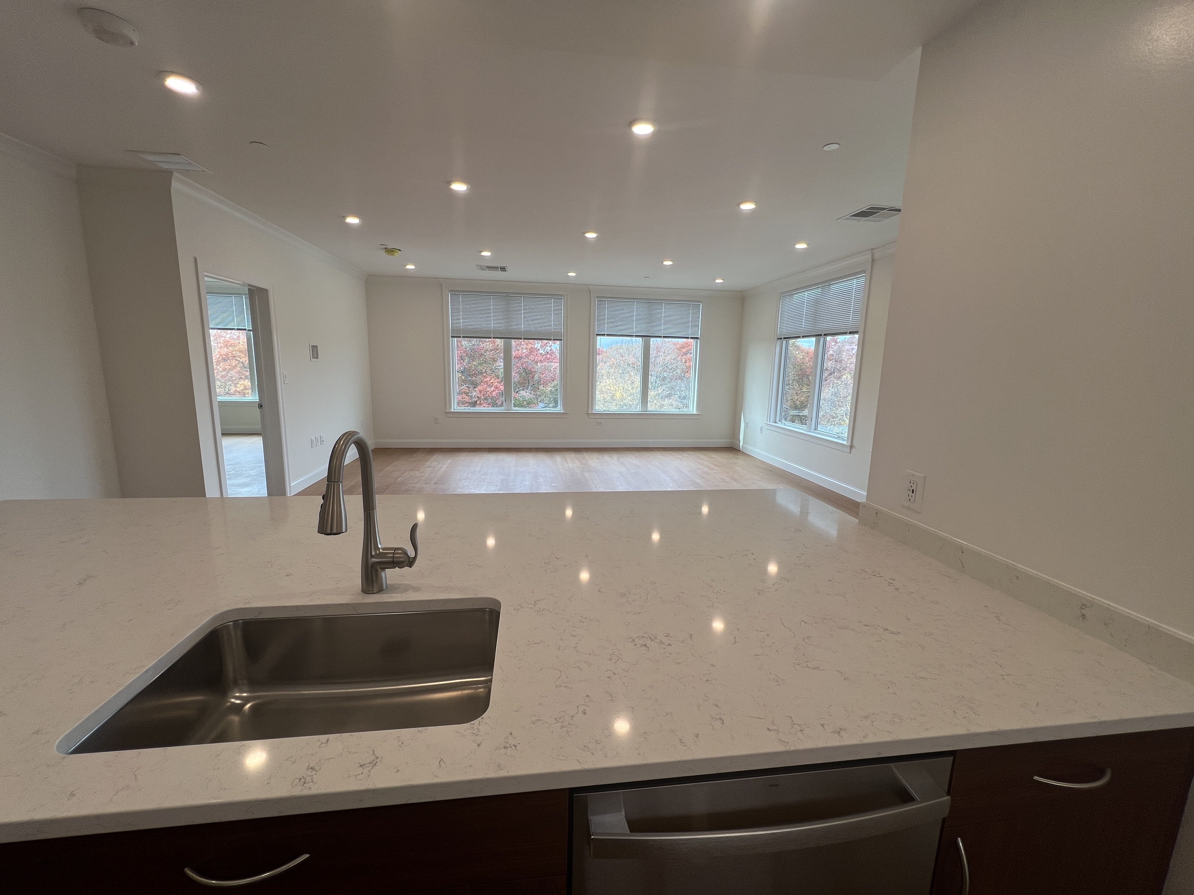 201 Sherman Rd, Chestnut Hill