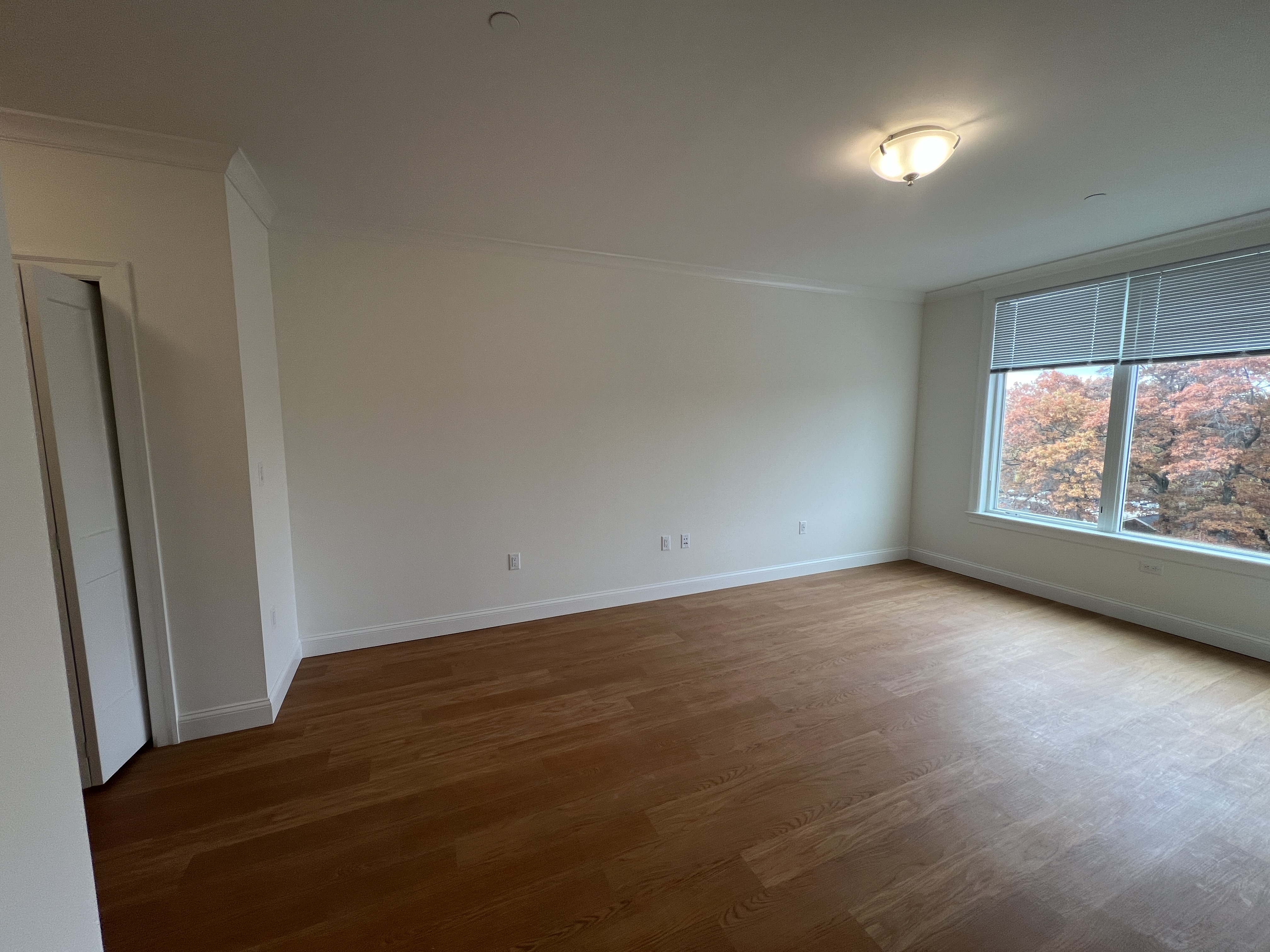 201 Sherman Rd, Chestnut Hill