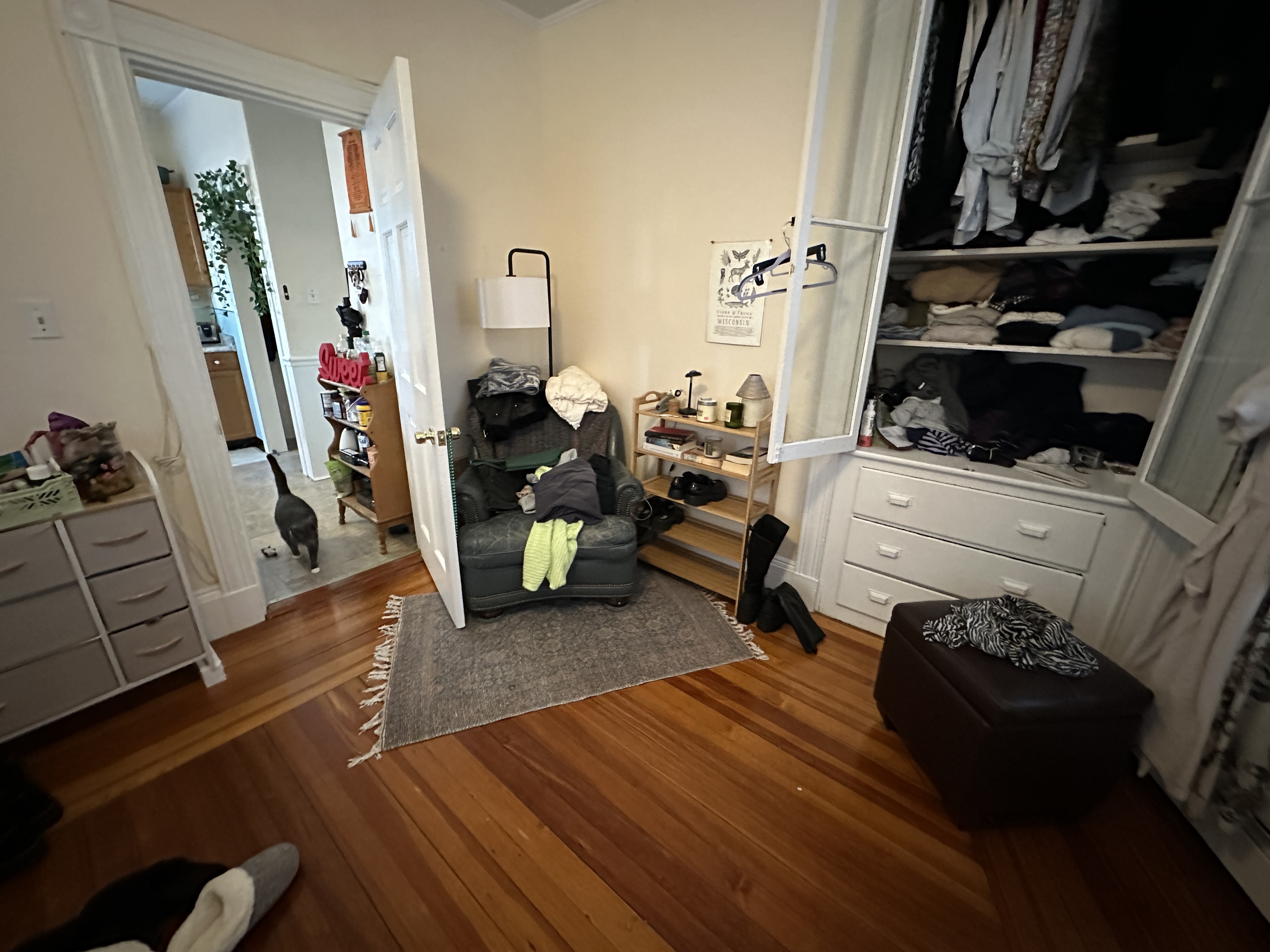 2 bed, 1 bath apartment for rent at 84 P St Unit 3, South Boston — photo 7 of 26